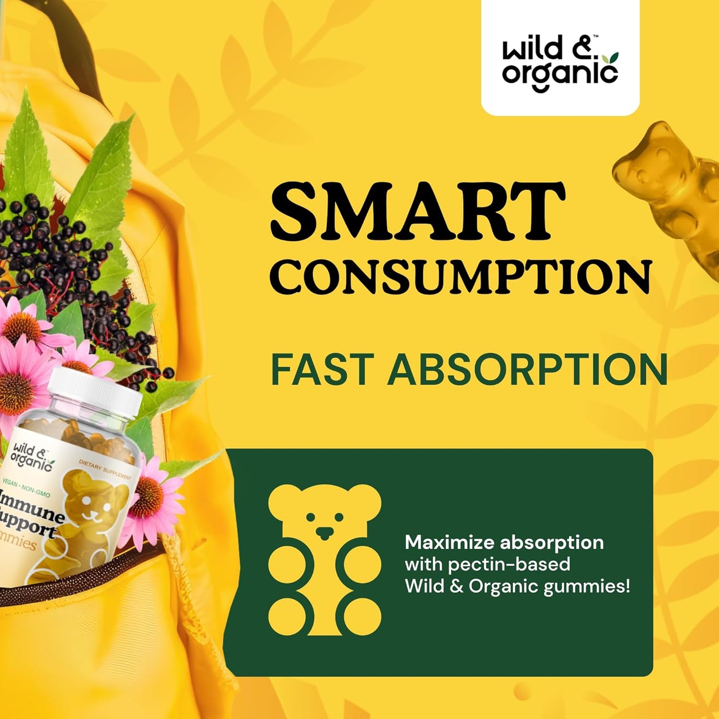 Organic Mullein Drops and Immune Support Gummies Combo - 4 oz for Natural Wellness - BoostGo Australia