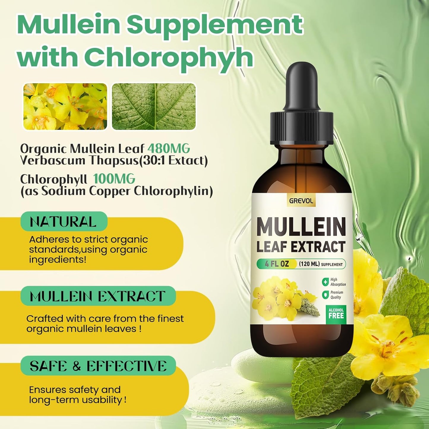 Organic Mullein Leaf 30:1 Extract Tincture for Lung Support - 4 Fl Oz Vegan Supplement with Chlorophyll for Respiratory Health