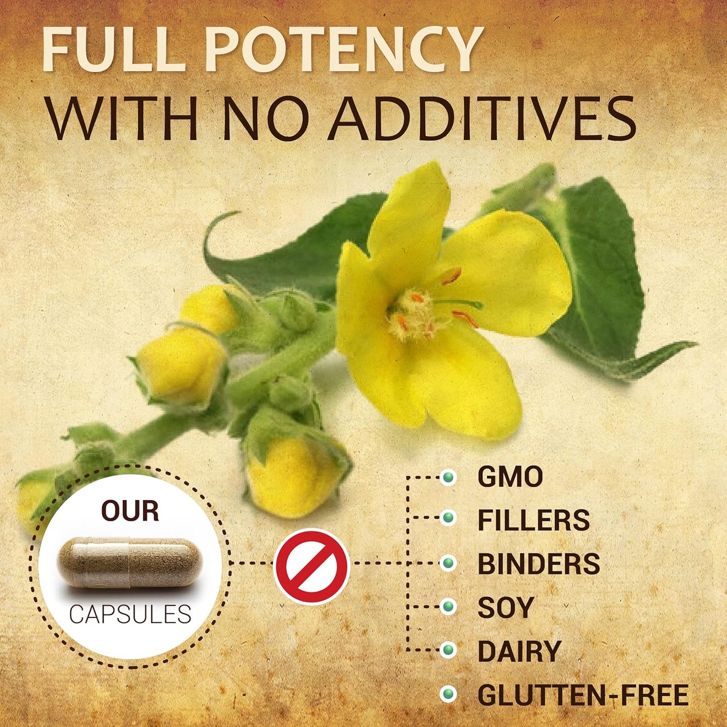 Organic Mullein Leaf Capsules - Lung & Digestive Wellness Supplement - Respiratory Support Pills - Vegan Non-GMO Herbal Extract - 100 Capsules