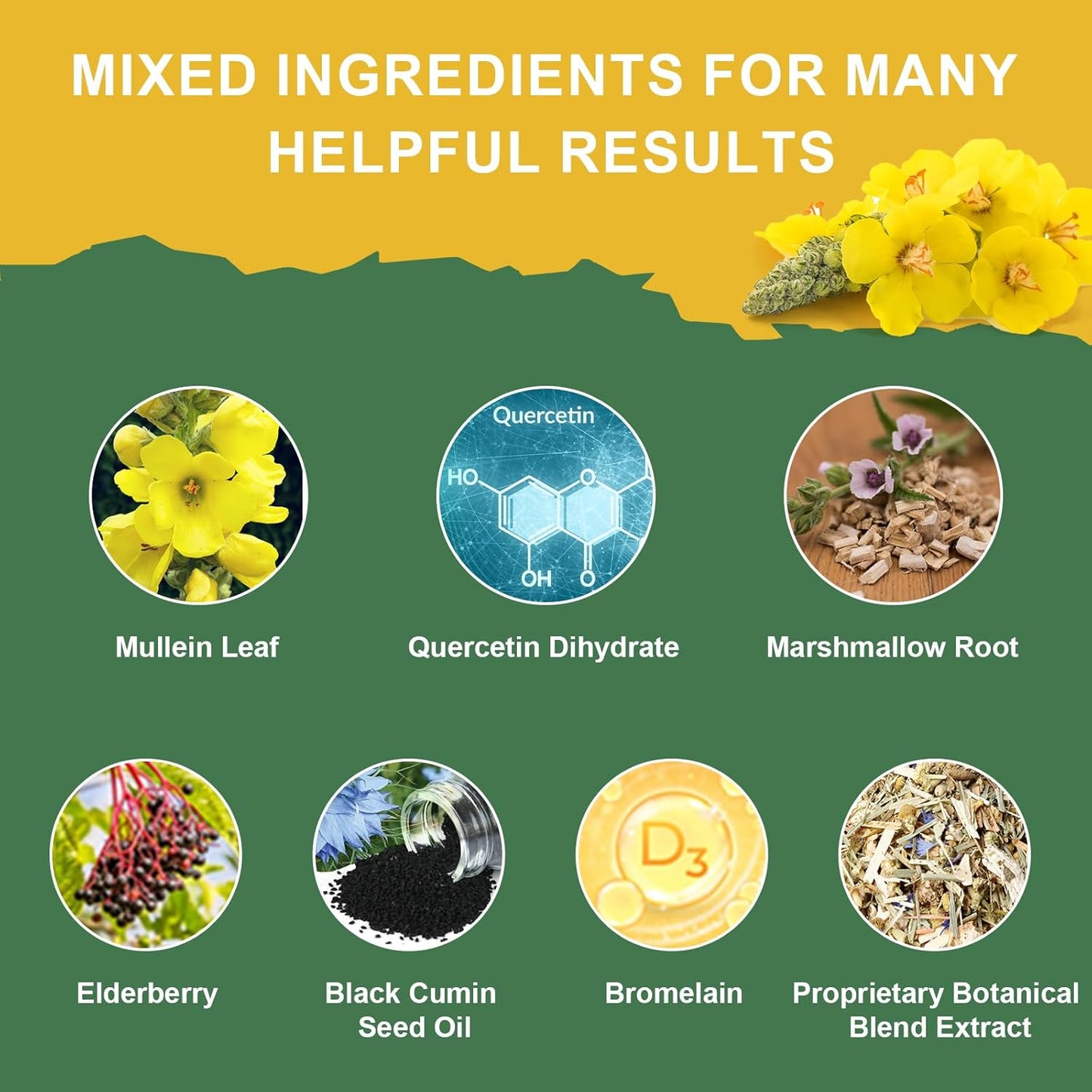 Organic Mullein Leaf Drops with Quercetin & Elderberry for Lung & Immune Support - 1000MG Extract - Non-GMO, Vegan - 2 Fl Oz