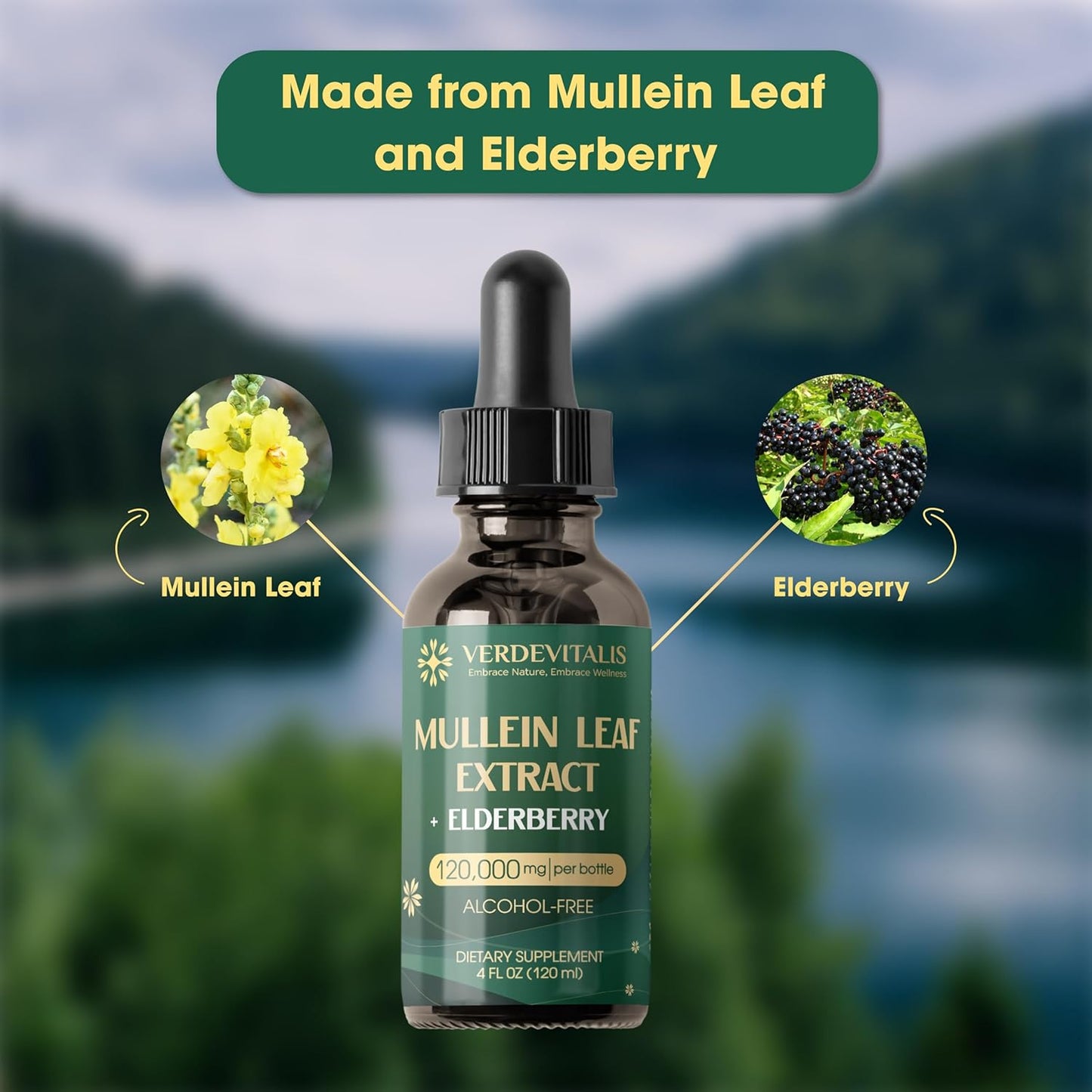 Organic Mullein Leaf & Elderberry Extract Drops for Lung Support - Respiratory System Cleanse & Detox Tincture - Herbal Supplement - Non-GMO - 4 Fl Oz - Made in USA