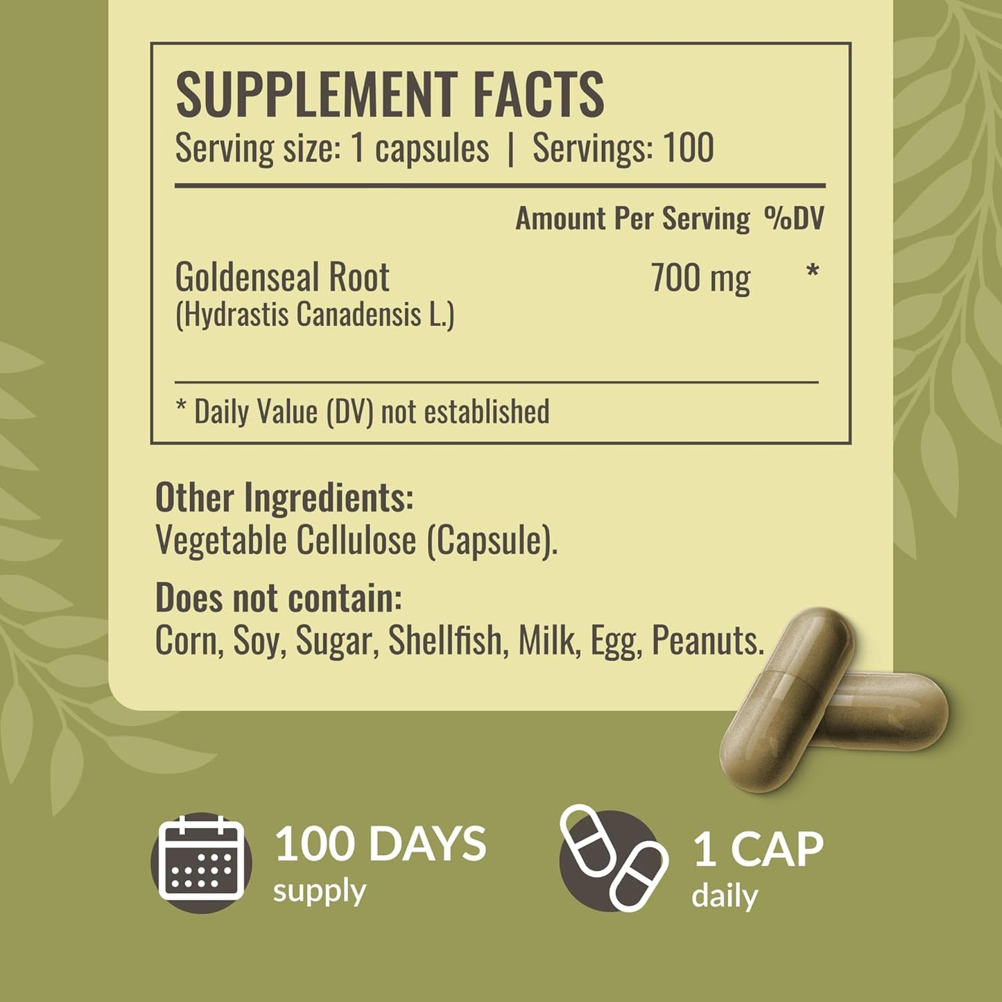 Organic Mullein Leaf Extract and Goldenseal Capsules Bundle - Includes Tincture and Root Capsules - Vegan, Non-GMO, Sugar & Alcohol-Free - 2 Pack