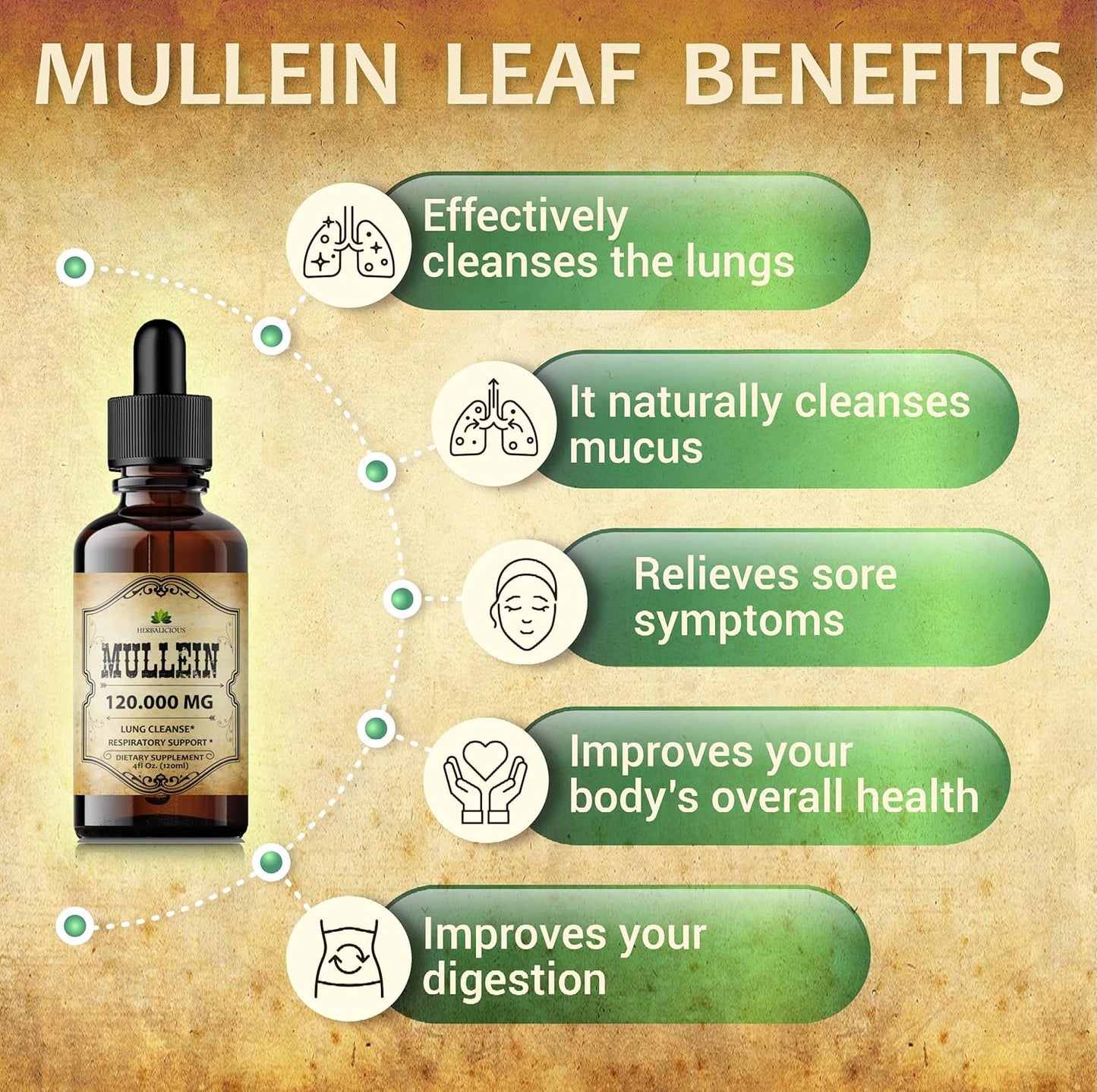 Organic Mullein Leaf Extract Drops - Lung Cleanse Supplement - Vegan & Non-GMO - 4 Fl Oz Bottle