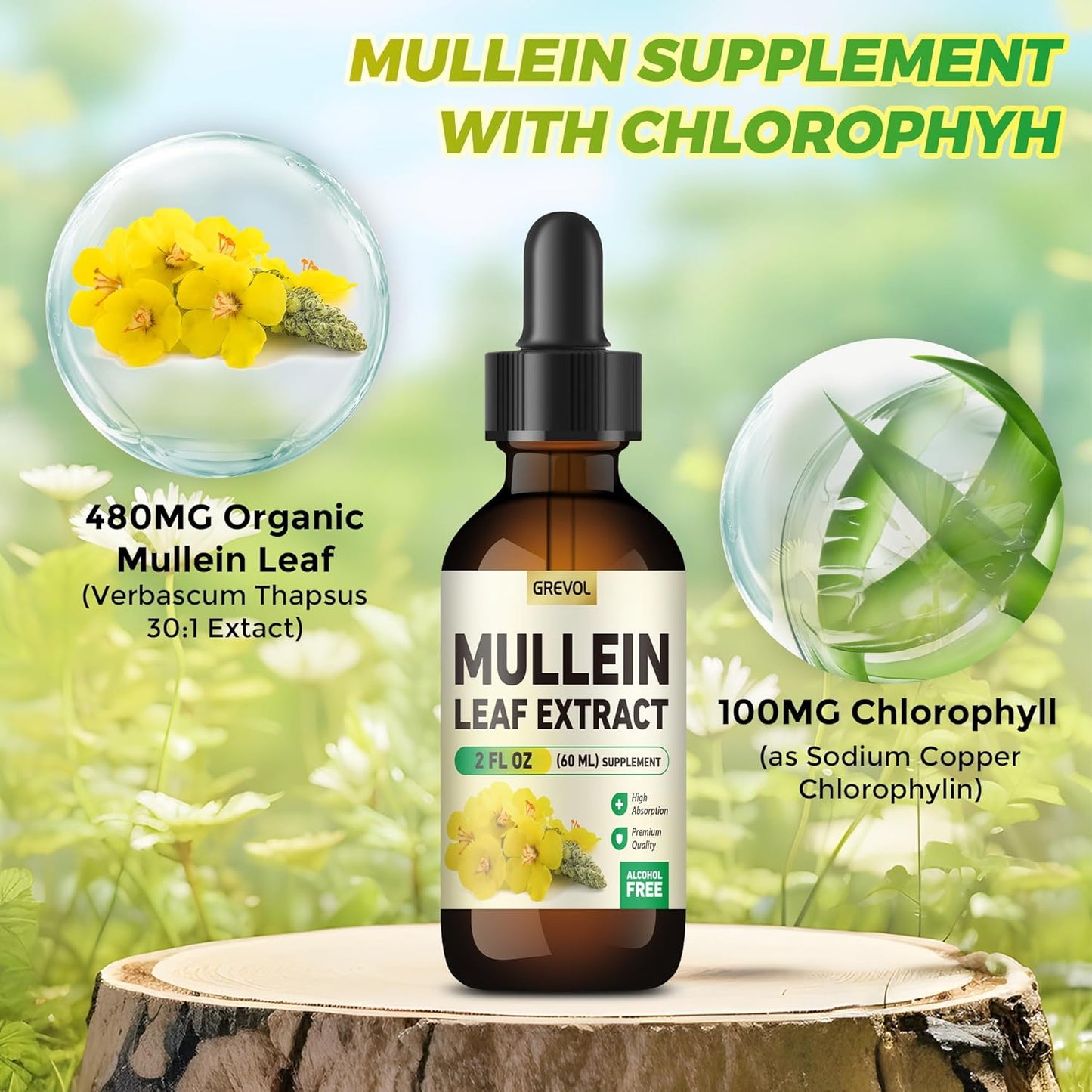 Organic Mullein Leaf Extract Drops for Lungs Detox & Immune Support - Herbal Supplement with Chlorophyll - Non-GMO Vegan Tincture - 2 Fl Oz