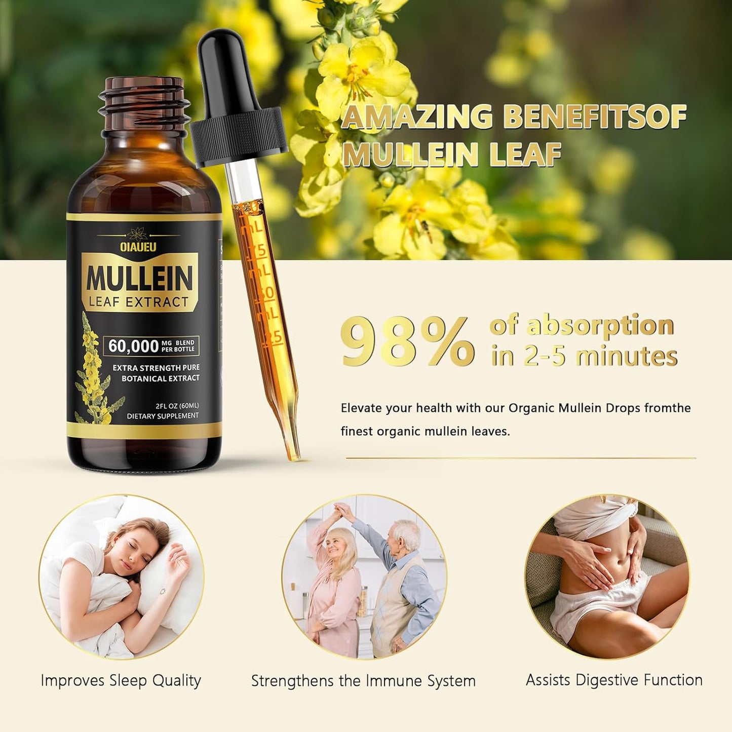 Organic Mullein Leaf Extract Drops for Respiratory Support and Lung Cleanse - 2 fl oz Bottle
