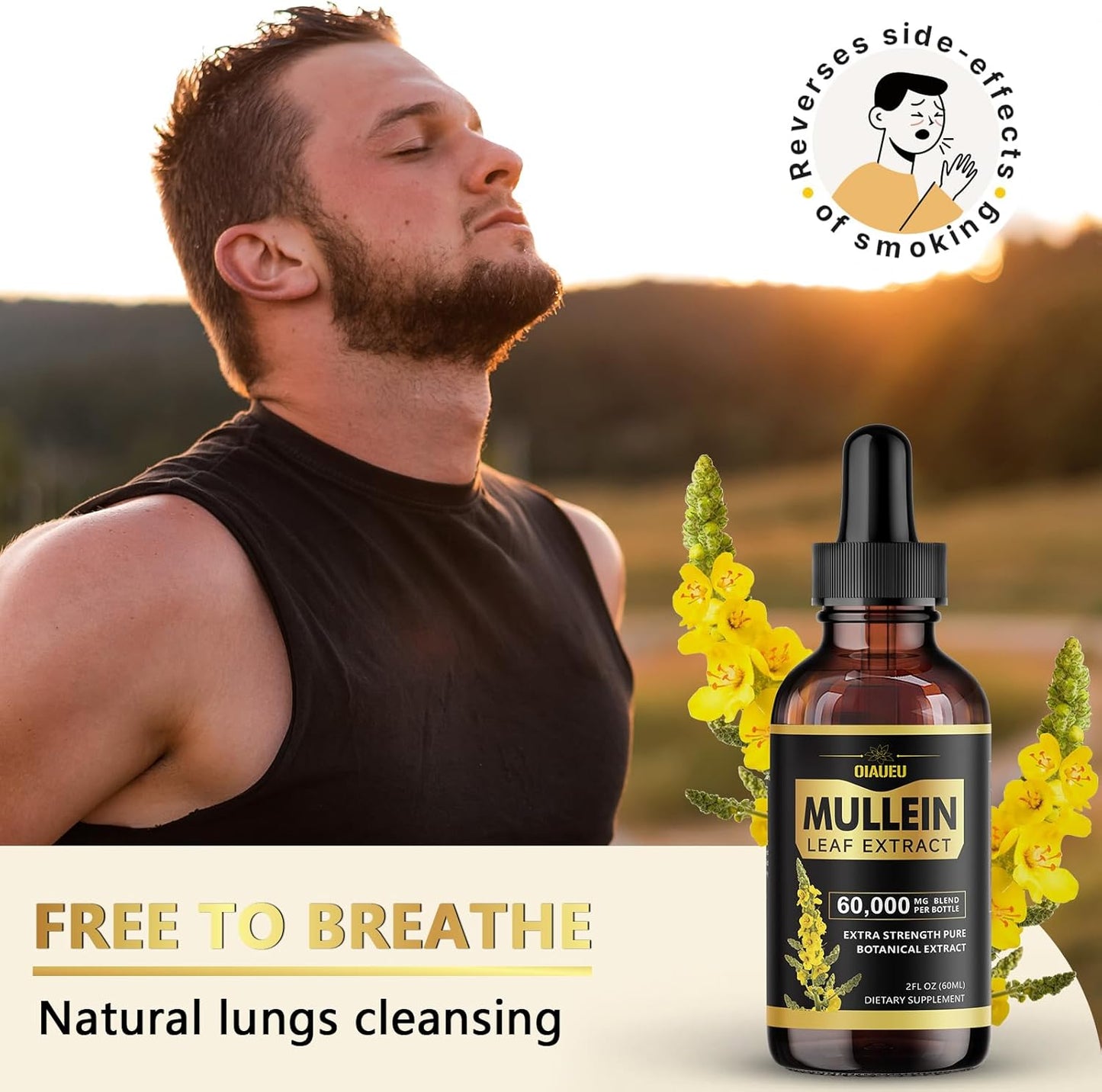 Organic Mullein Leaf Extract Drops for Respiratory Support and Lung Cleanse - 2 fl oz Bottle
