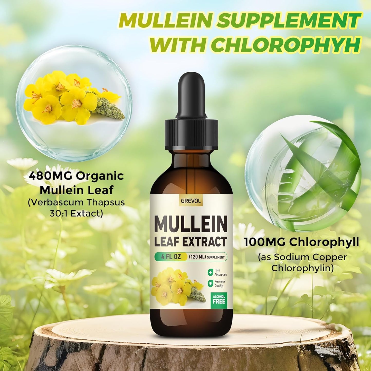 Organic Mullein Leaf Extract Drops with Chlorophyll for Respiratory & Immune Support - Non-GMO Vegan Tincture (4 Fl Oz)
