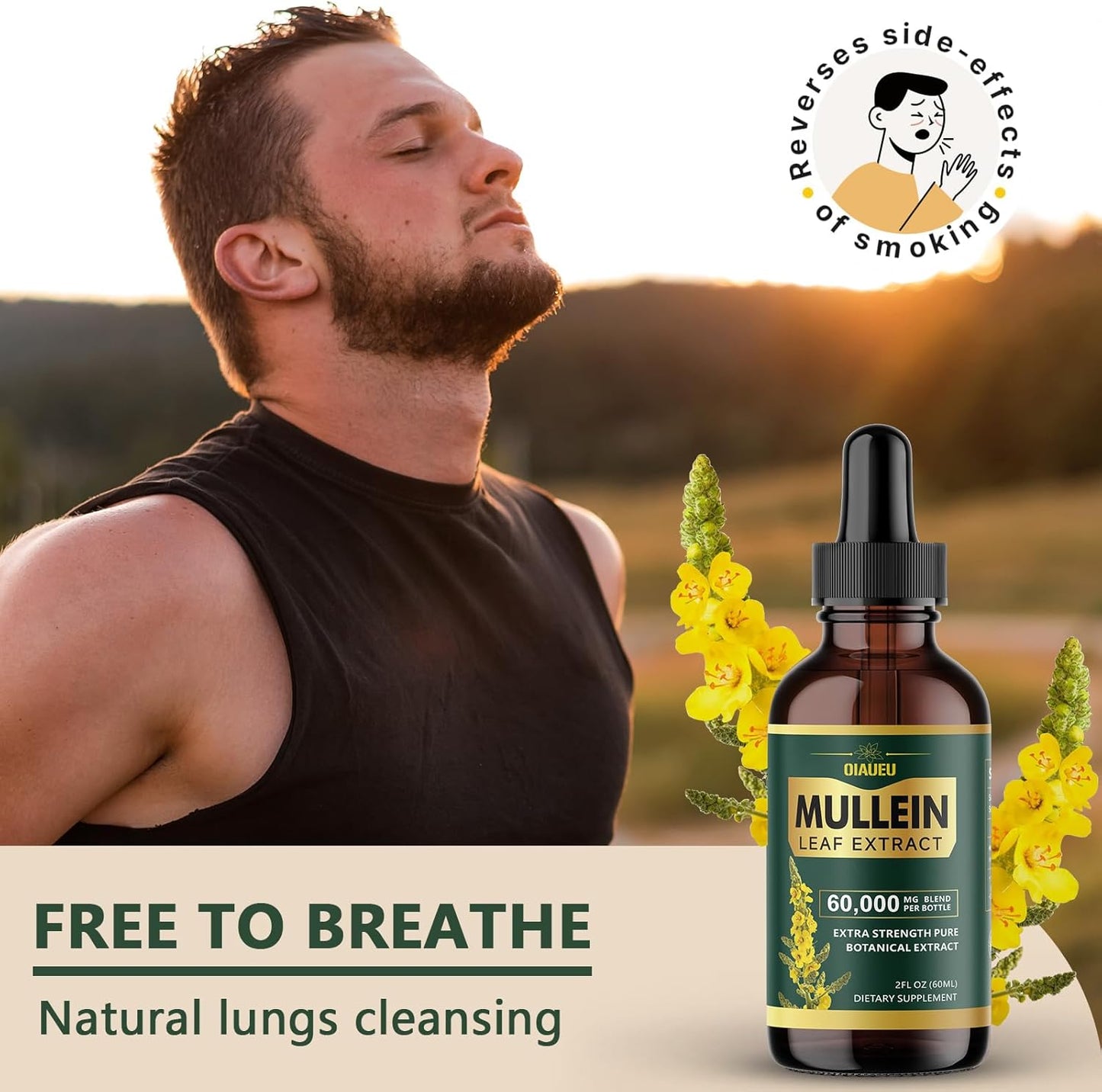 Organic Mullein Leaf Tincture for Lung Cleanse and Respiratory Health - 2 fl oz Vegan Liquid Extract