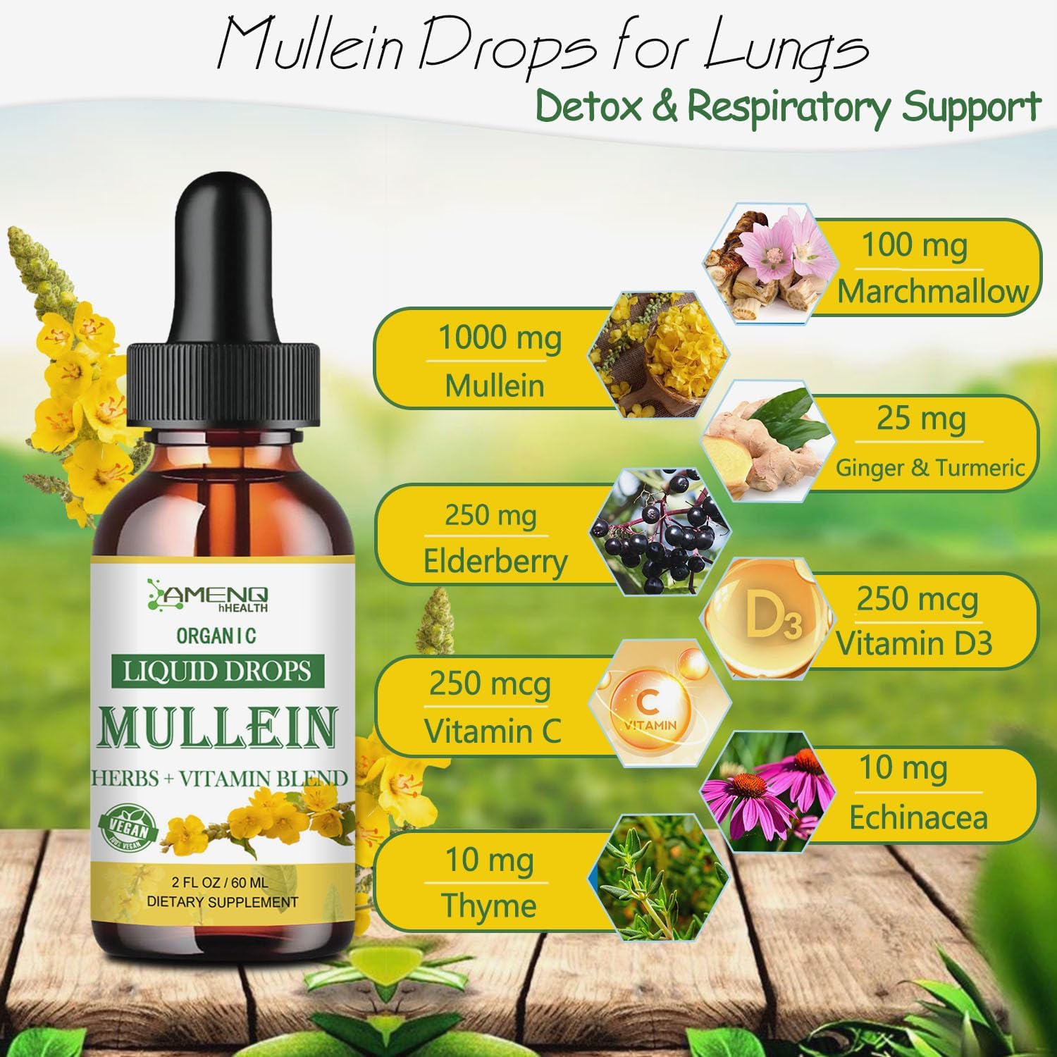 Organic Mullein Lung Drops with Elderberry & Ginger for Lung Health - Alcohol-Free Tincture for Respiratory Support - 2 FL/OZ