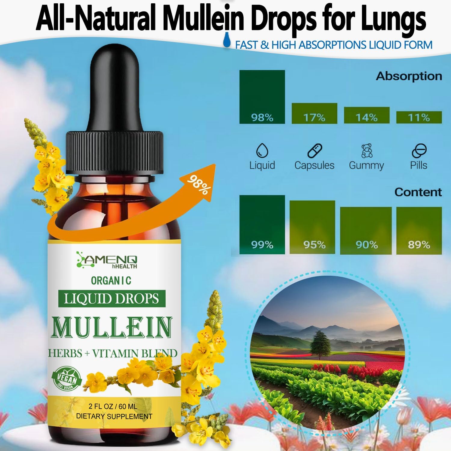 Organic Mullein Lung Drops with Elderberry & Ginger for Lung Health - Alcohol-Free Tincture for Respiratory Support - 2 FL/OZ