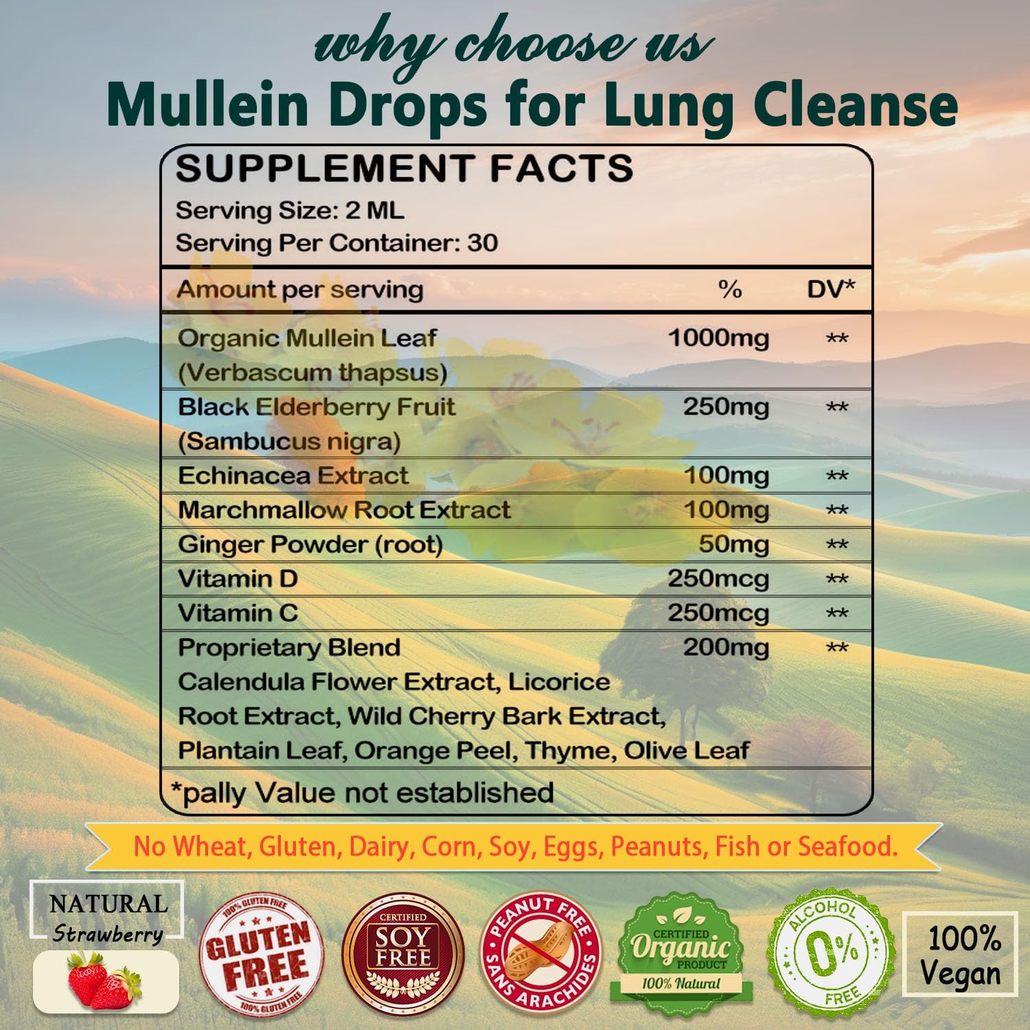Organic Mullein Lung Drops with Elderberry & Ginger for Lung Health - Alcohol-Free Tincture for Respiratory Support - 2 FL/OZ