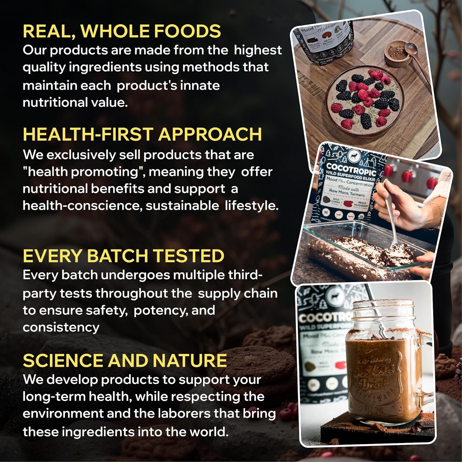 Organic Mushroom Cacao Mix & Grass-Fed Beef Protein Powder Bundle - Energizing Nutrition (26oz)