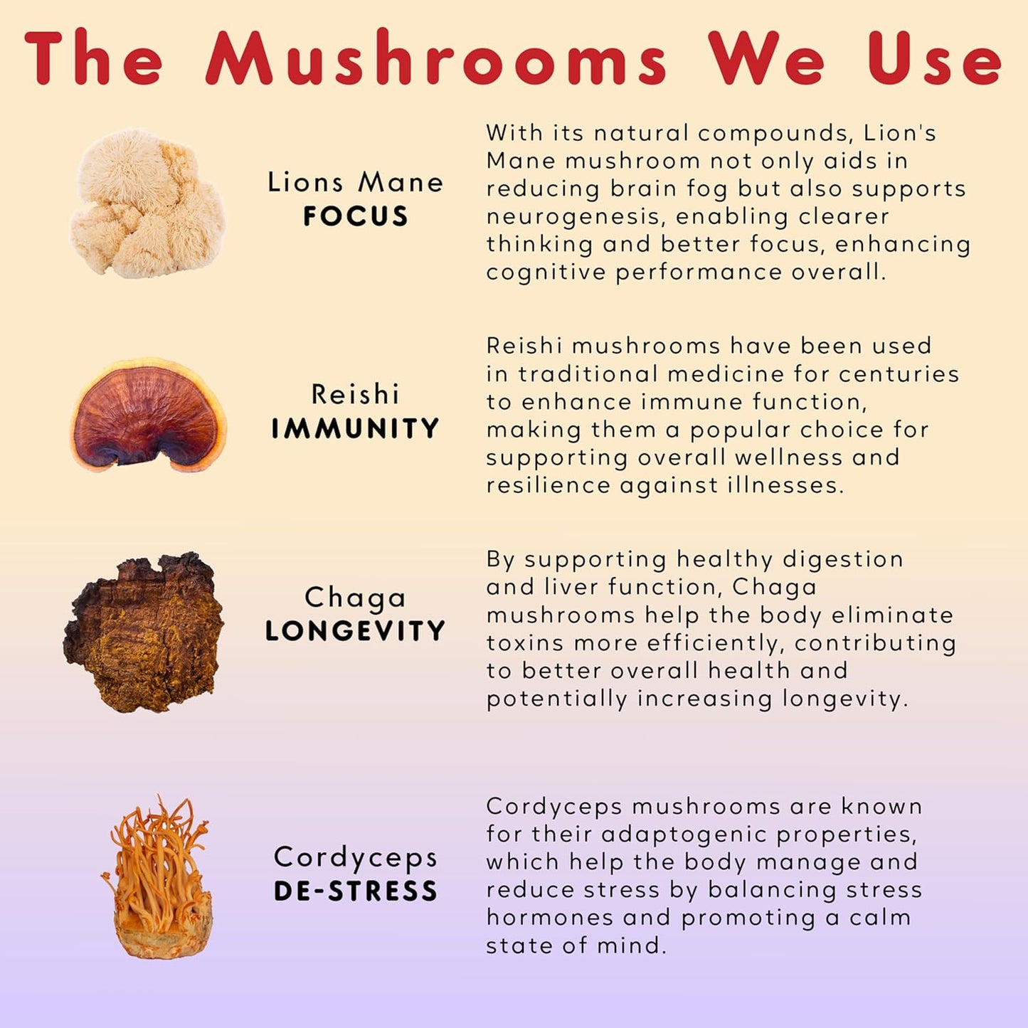 Organic Mushroom Extract Blend with Chaga, Reishi, Lion's Mane, Cordyceps | Vegan & Non-GMO | Supports Wellness & Immunity | 30 Servings, 2 fl. oz.
