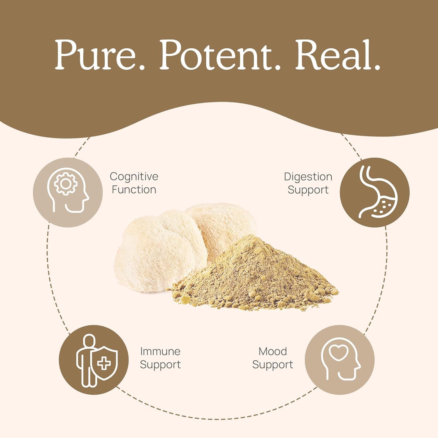 Organic Mushroom Extract Powder Trio (Lion's Mane, Reishi, Turkey Tail) - 150g | Non-GMO, Vegan Friendly