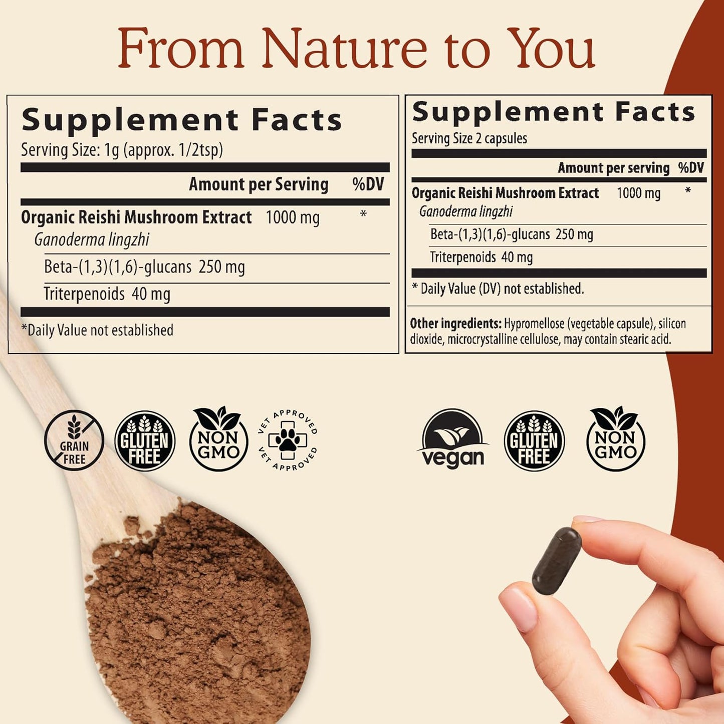 Organic Mushroom Extract Powder Trio (Lion's Mane, Reishi, Turkey Tail) - 150g | Non-GMO, Vegan Friendly