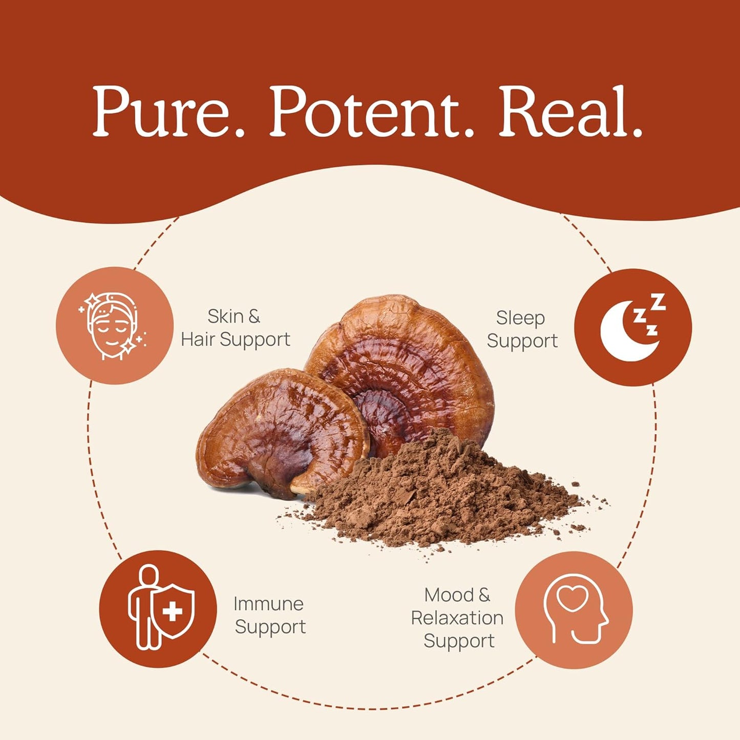 Organic Mushroom Extract Powder Trio (Lion's Mane, Reishi, Turkey Tail) - 150g | Non-GMO, Vegan Friendly