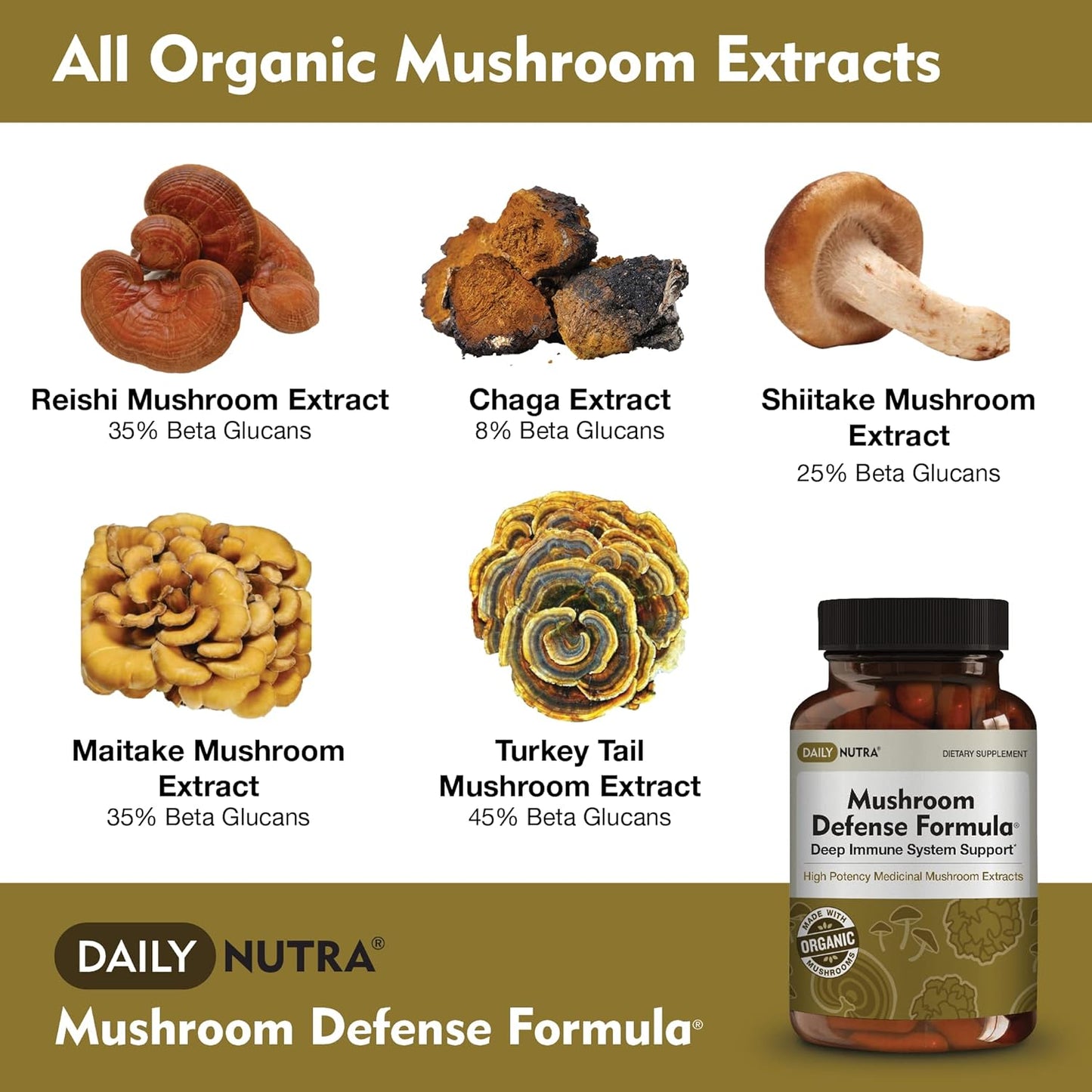 Organic Mushroom Immune Support Supplement - DailyNutra Mushroom Defense Formula with Reishi, Chaga, Maitake, Shiitake & Turkey Tail - 60 Capsules