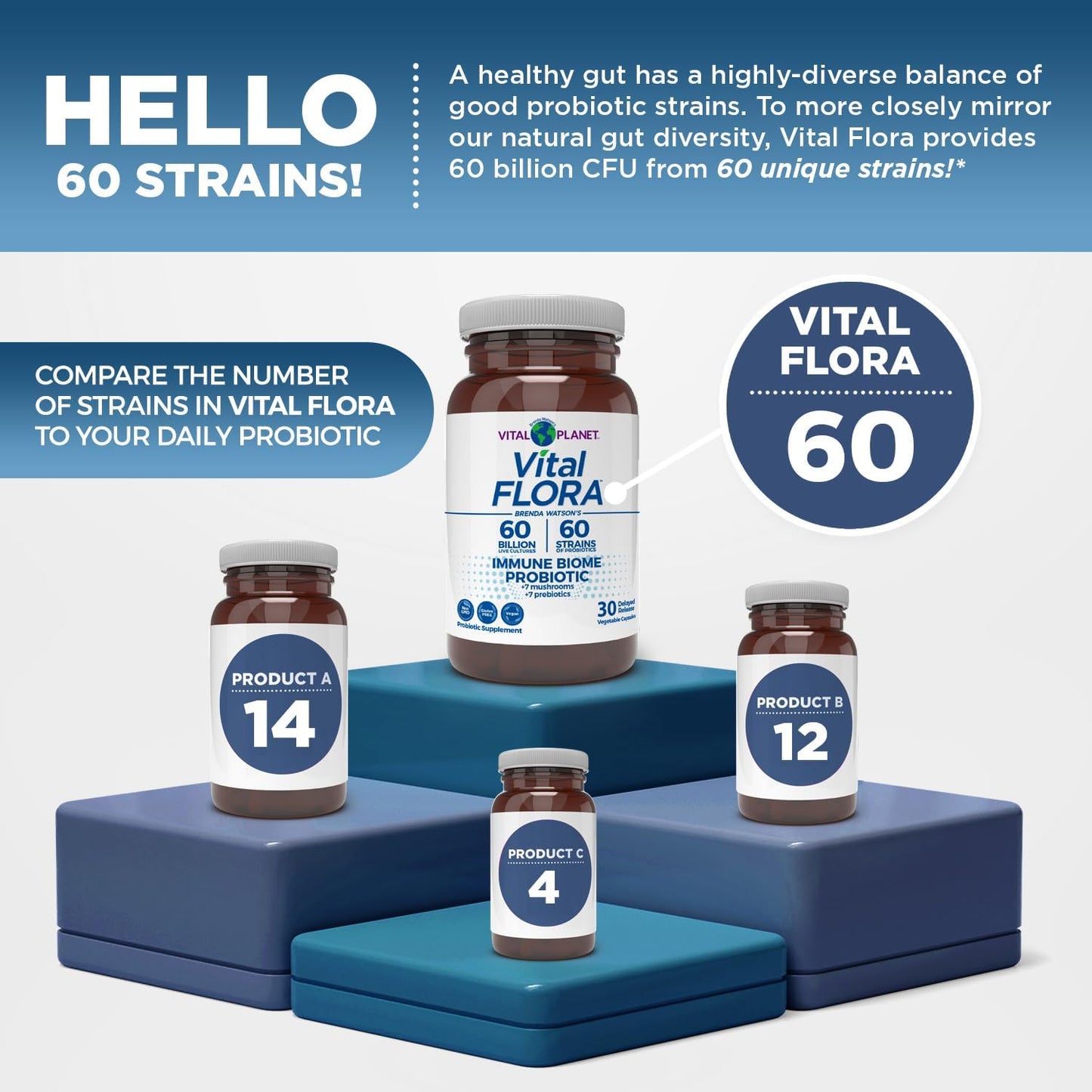 Organic Mushroom Probiotic with Prebiotics for Immune Support, 60 Billion CFU, Diverse Strains - 30 Capsules