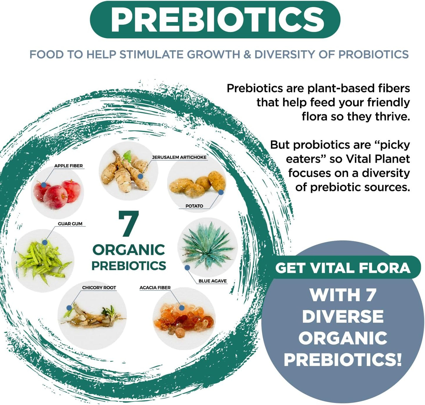 Organic Mushroom Probiotic with Prebiotics for Immune Support, 60 Billion CFU, Diverse Strains - 30 Capsules