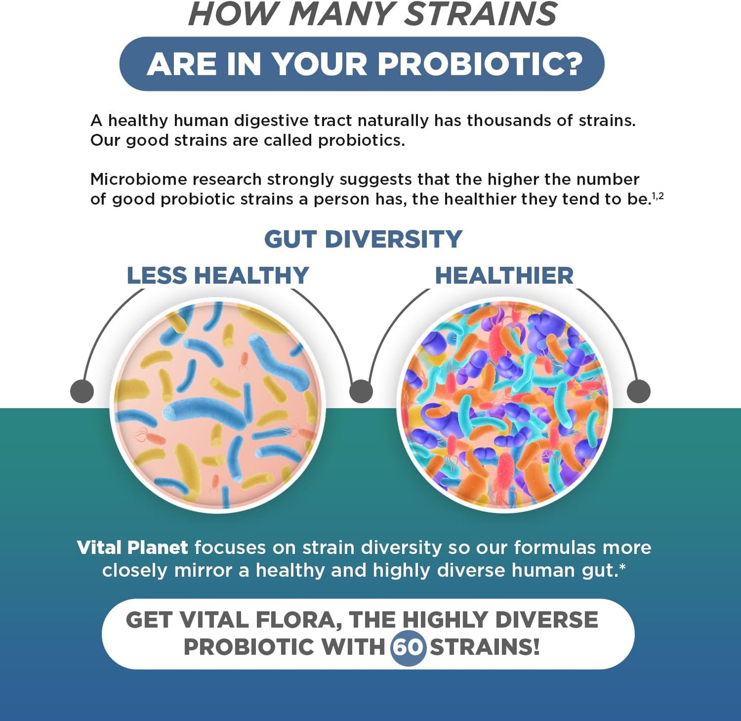 Organic Mushroom Probiotic with Prebiotics for Immune Support, 60 Billion CFU, Diverse Strains - 30 Capsules