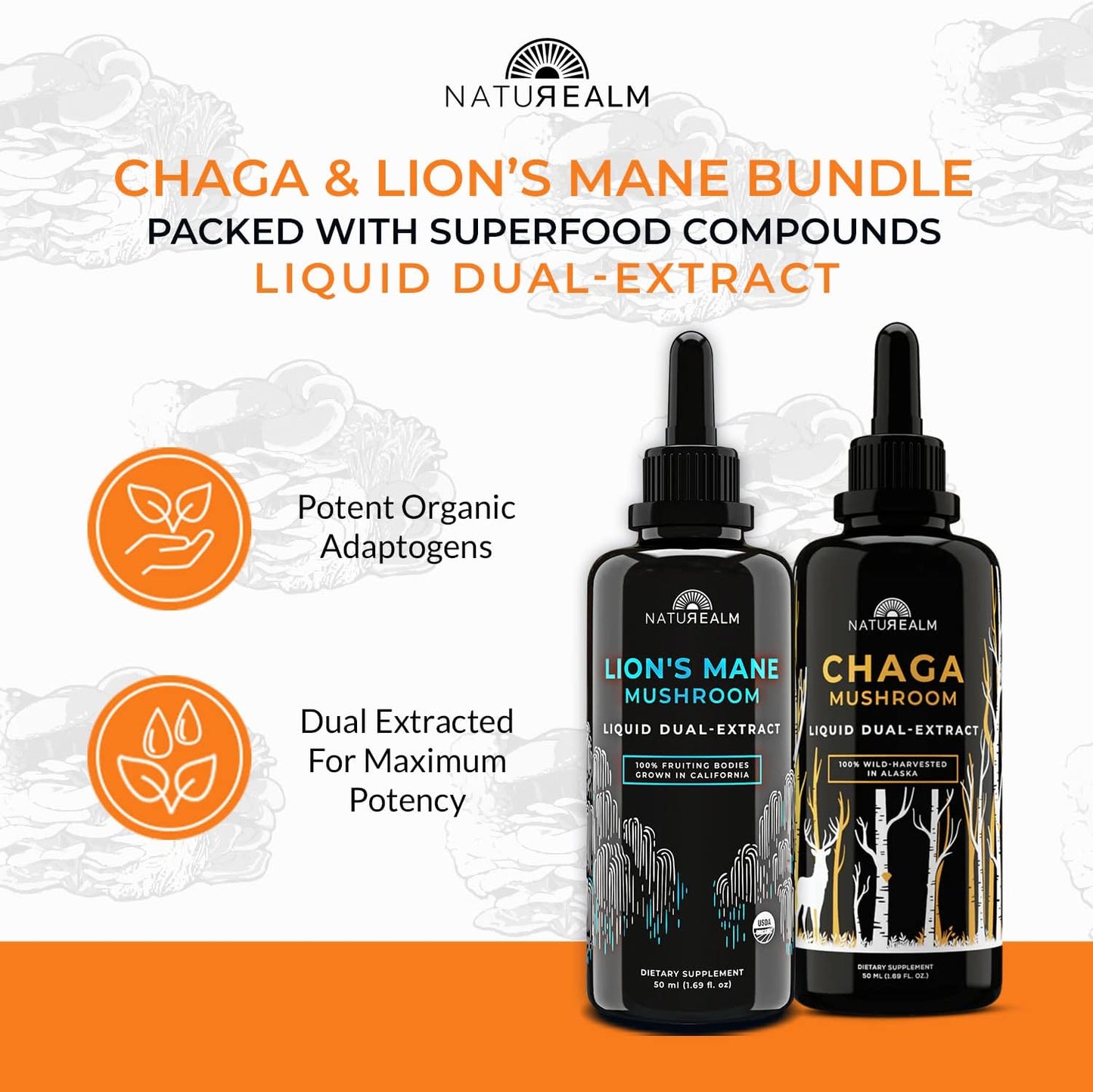 Organic Naturealm Lion's Mane & Chaga Mushroom Extract - Adaptogen Stack for Focus, Immunity, Longevity, Stress Relief, Energy - Liquid Drops - 2 Pack of 50 mL