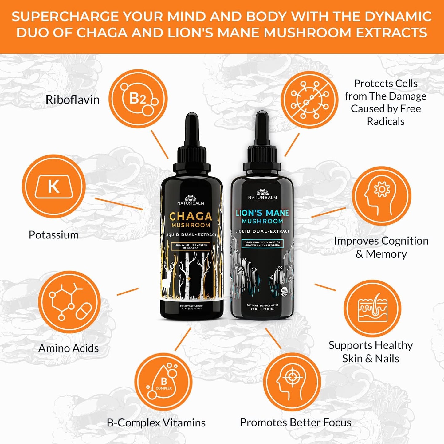 Organic Naturealm Lion's Mane & Chaga Mushroom Extract - Adaptogen Stack for Focus, Immunity, Longevity, Stress Relief, Energy - Liquid Drops - 2 Pack of 50 mL