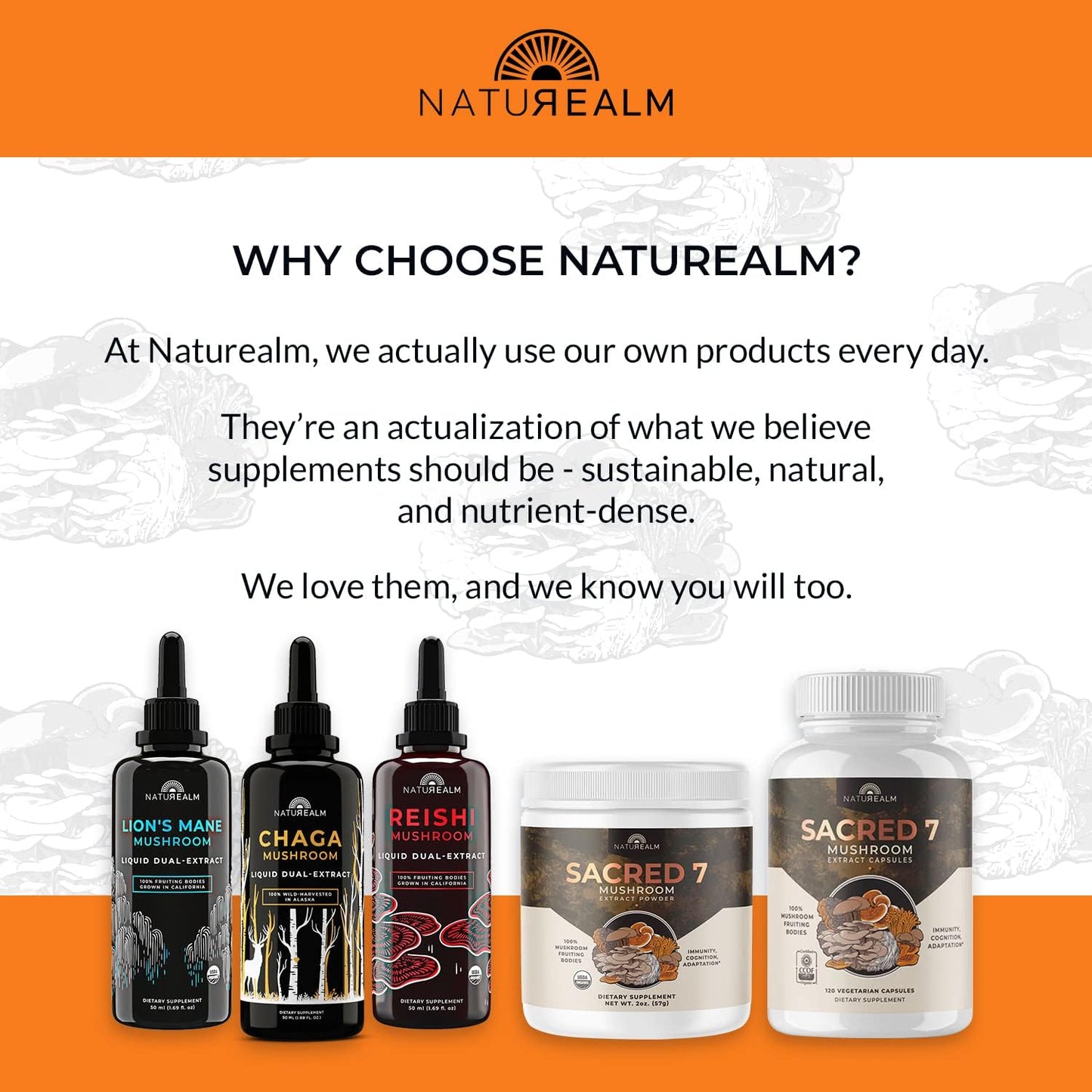 Organic Naturealm Lion's Mane & Chaga Mushroom Extract - Adaptogen Stack for Focus, Immunity, Longevity, Stress Relief, Energy - Liquid Drops - 2 Pack of 50 mL
