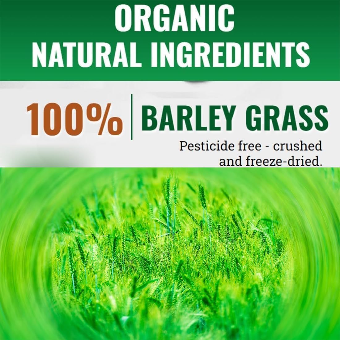 Organic Naveta Barley Grass Powder - 100% Pure, Good for Health - 1 Bag