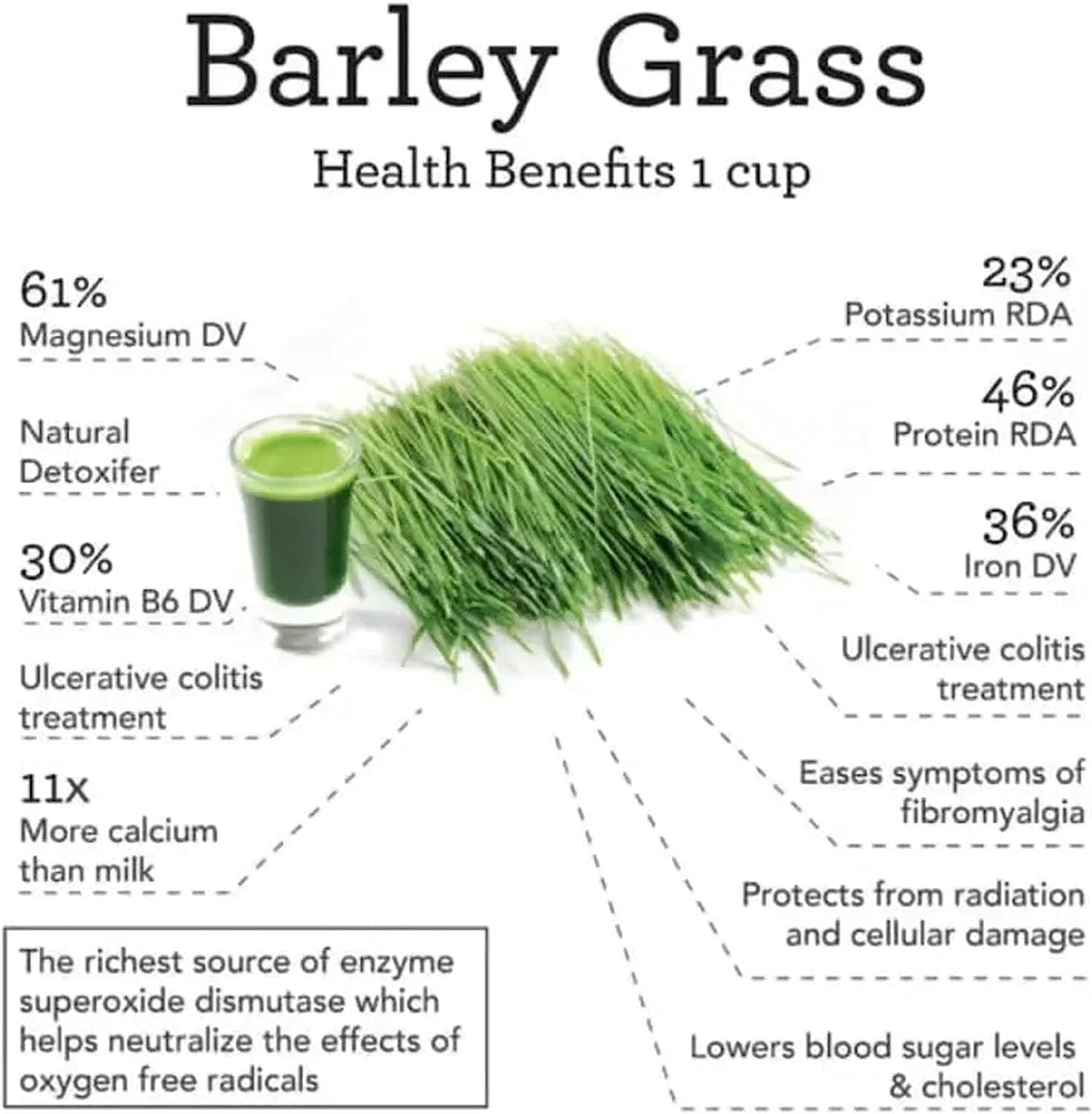 Organic Naveta Barley Grass Powder - 100% Pure, Good for Health - 1 Bag