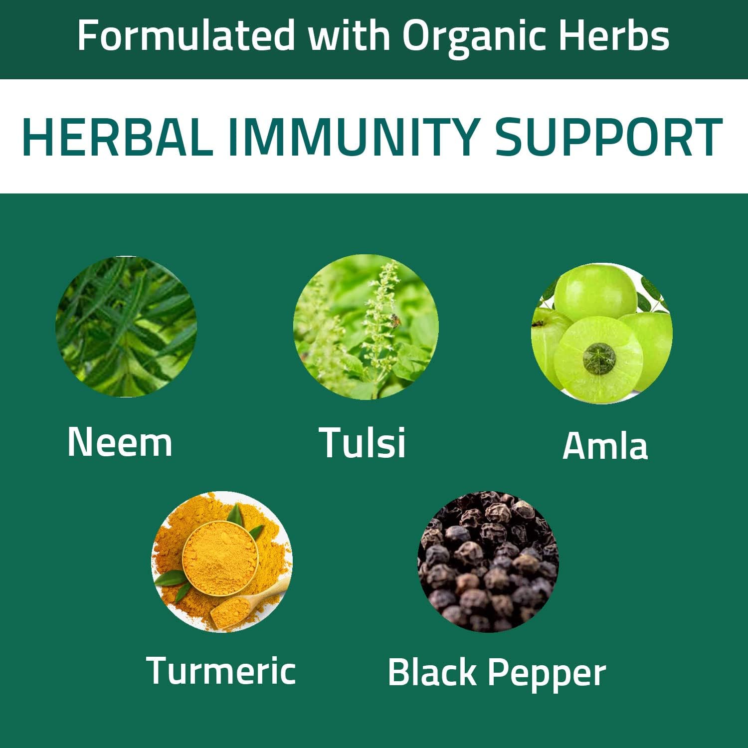 Organic Neem, Tulsi, Amla & Turmeric Immune Support Capsules - 120 Capsules for Enhanced Wellness and Immunity
