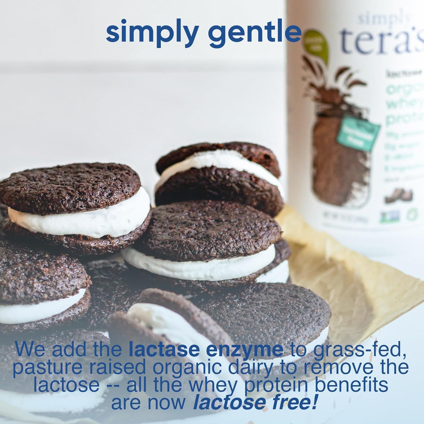 Organic Non-GMO Dark Chocolate Lactose Free Whey Protein Powder - 12 Oz