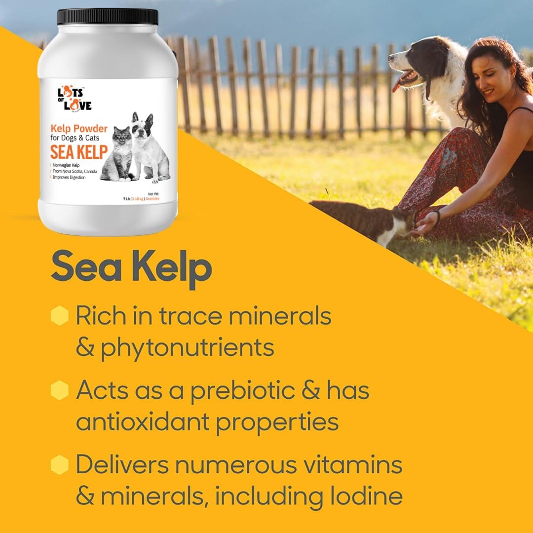 Organic Norwegian Kelp Powder for Dogs (7 lbs, 3.2 kg) - Thyroid Support Supplement for Dogs & Cats by Lots of Love Pet Products