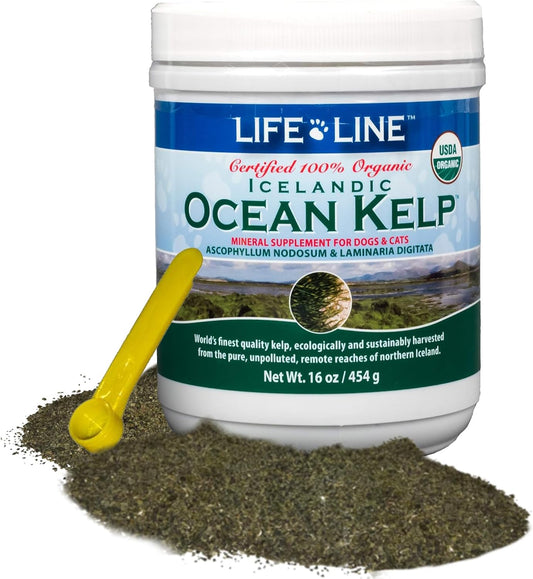 Organic Ocean Kelp 16 oz Canister for Pet Nutrition by Life Line