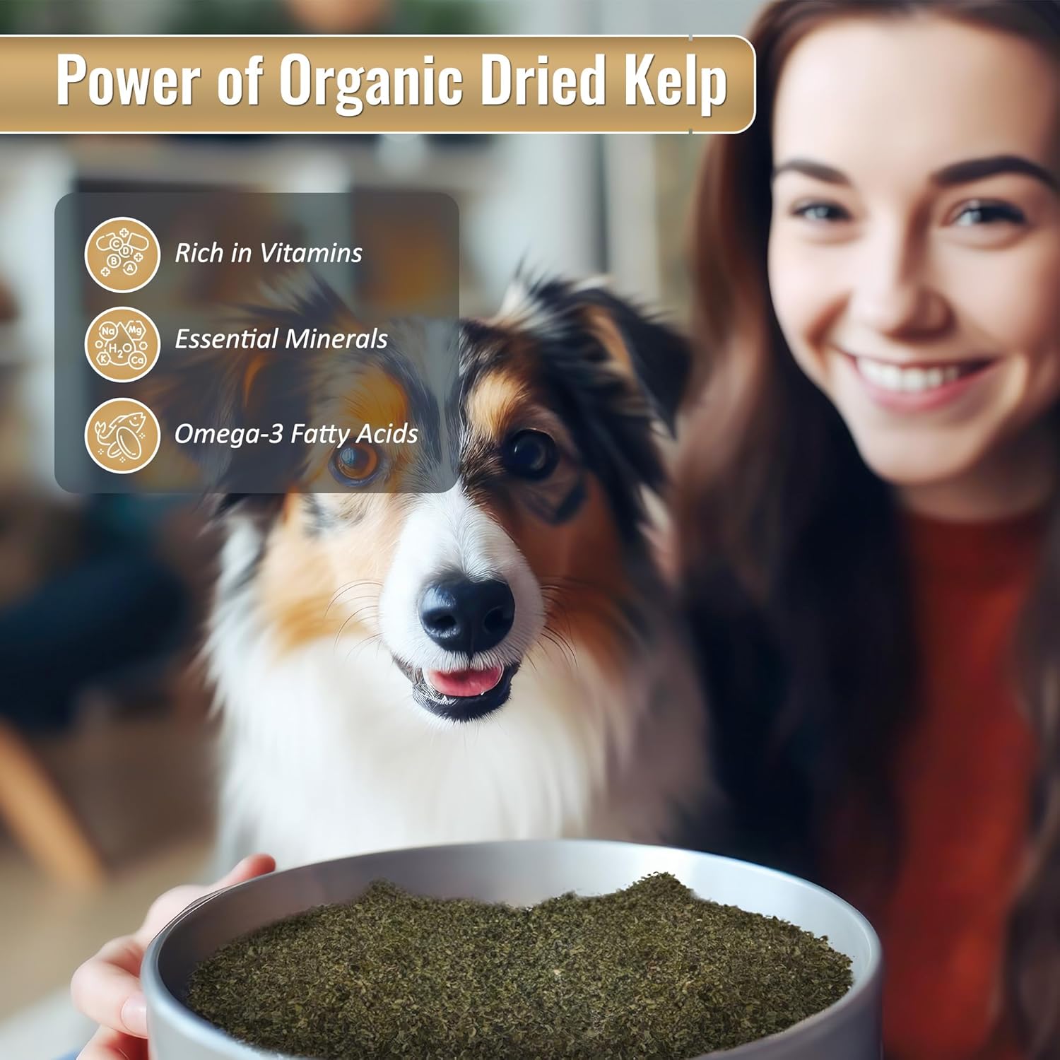 Organic Ocean Kelp 16 oz Canister for Pet Nutrition by Life Line