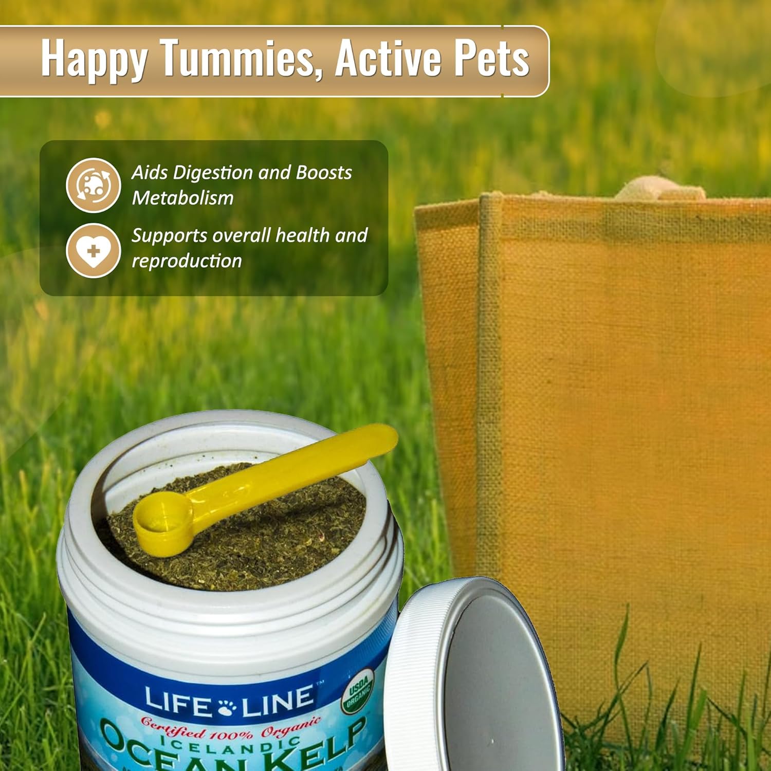 Organic Ocean Kelp 16 oz Canister for Pet Nutrition by Life Line