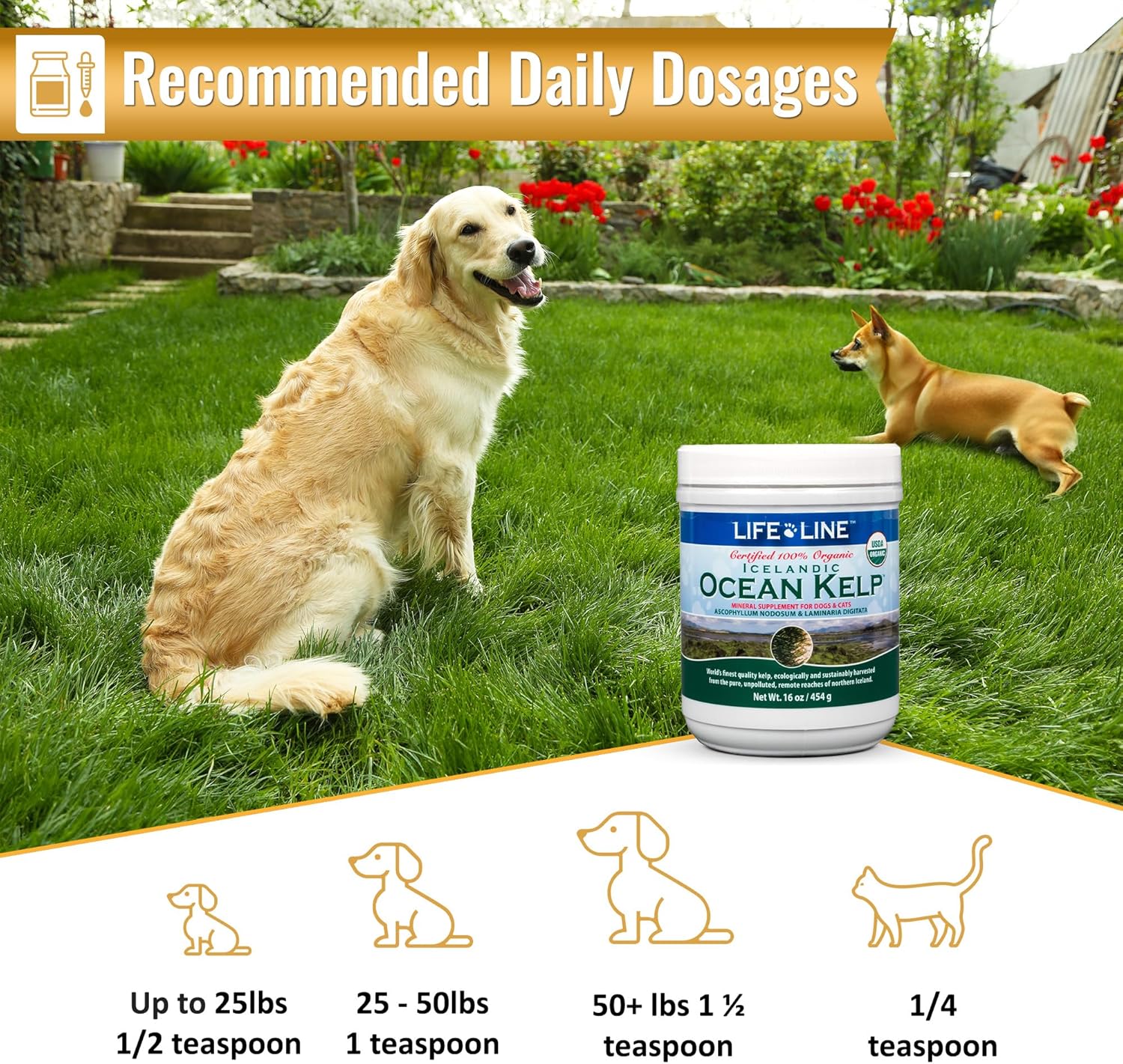 Organic Ocean Kelp 16 oz Canister for Pet Nutrition by Life Line