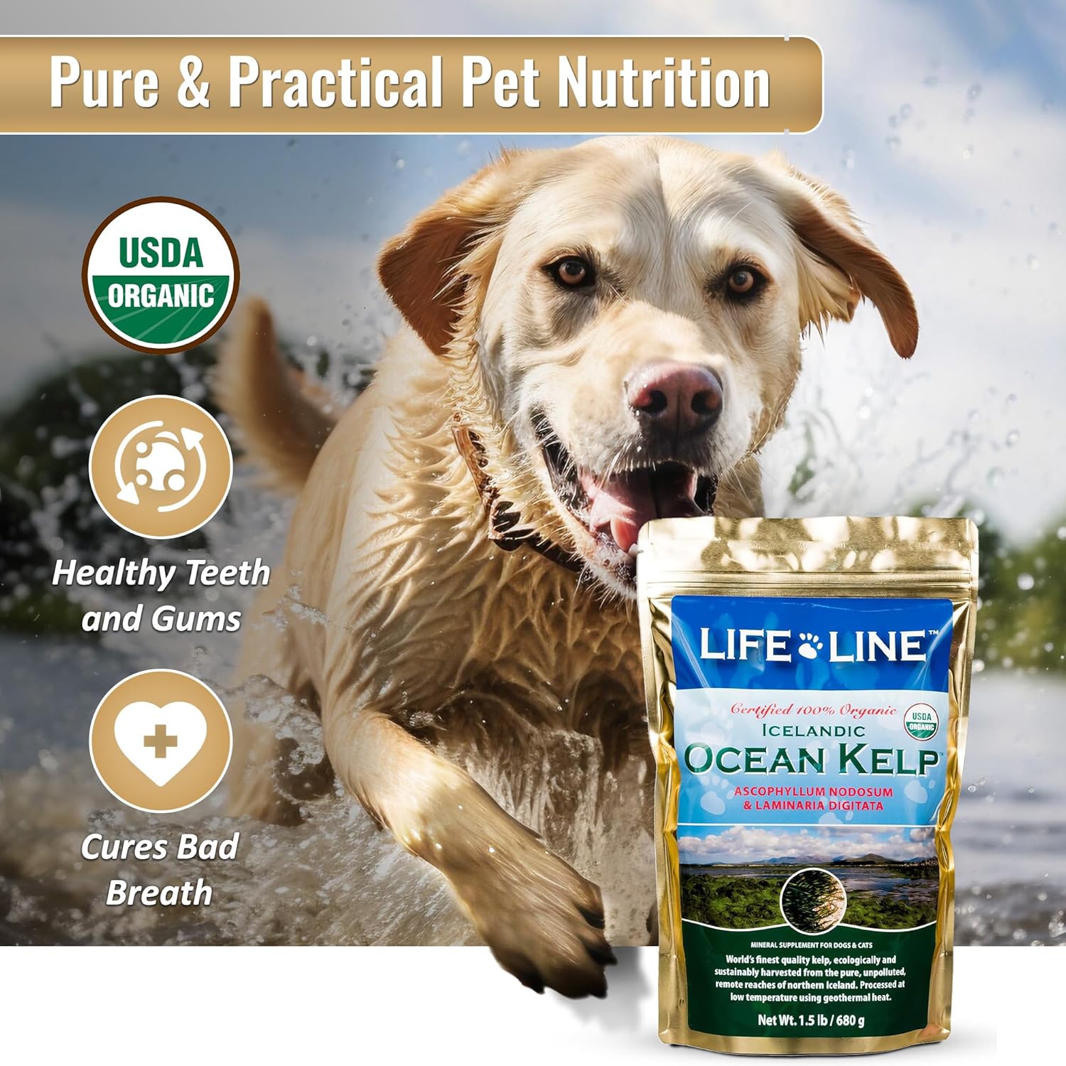 Organic Ocean Kelp for Pet Nutrition - 1.5 LB by Life Line