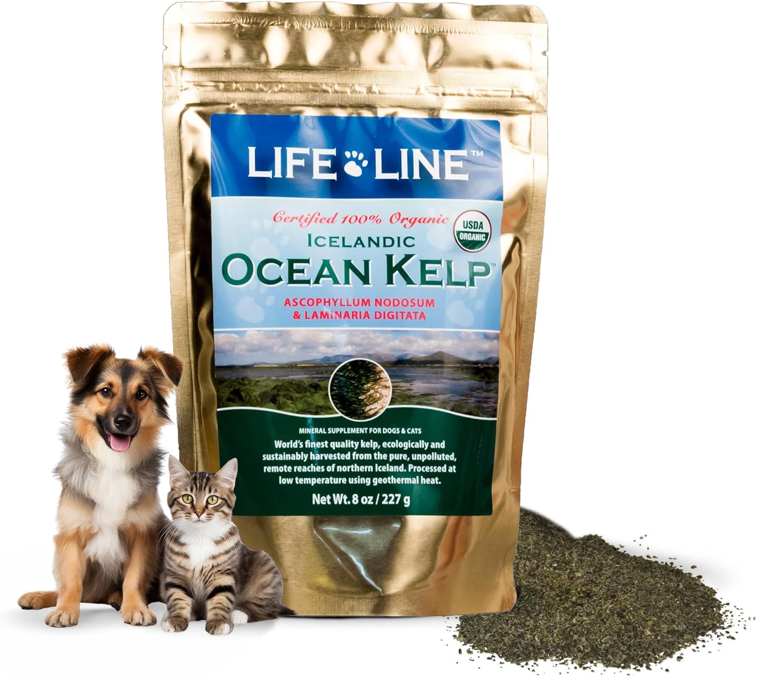 Organic Ocean Kelp Supplement for Pets - 8 oz by Life Line Pet Nutrition
