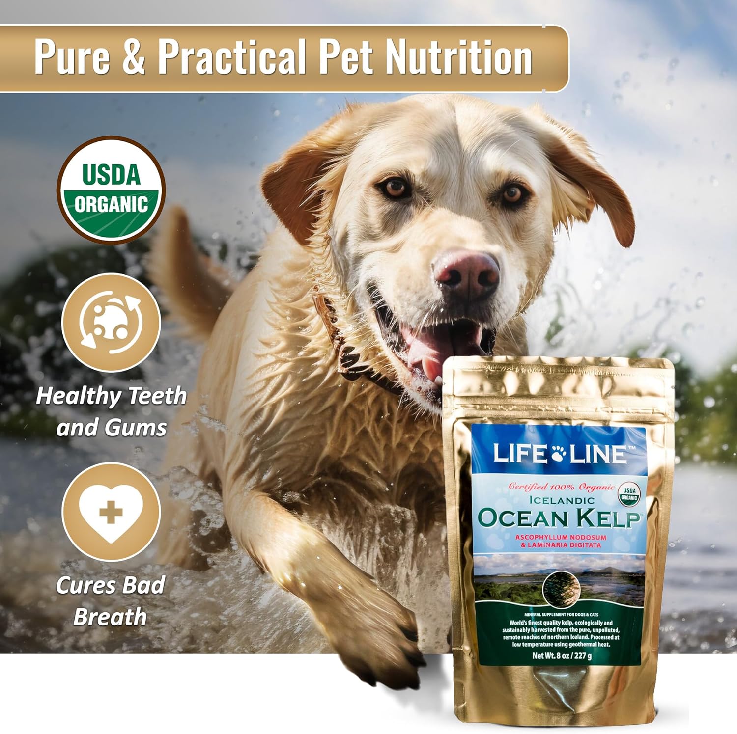 Organic Ocean Kelp Supplement for Pets - 8 oz by Life Line Pet Nutrition