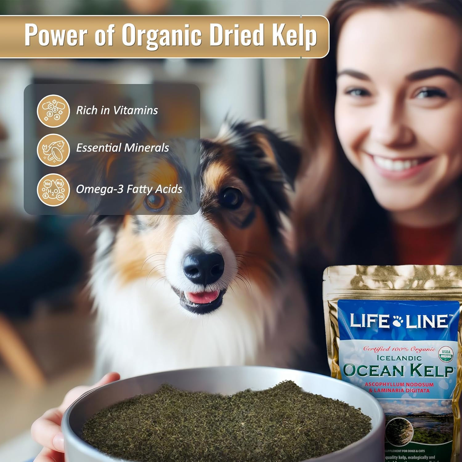 Organic Ocean Kelp Supplement for Pets - 8 oz by Life Line Pet Nutrition