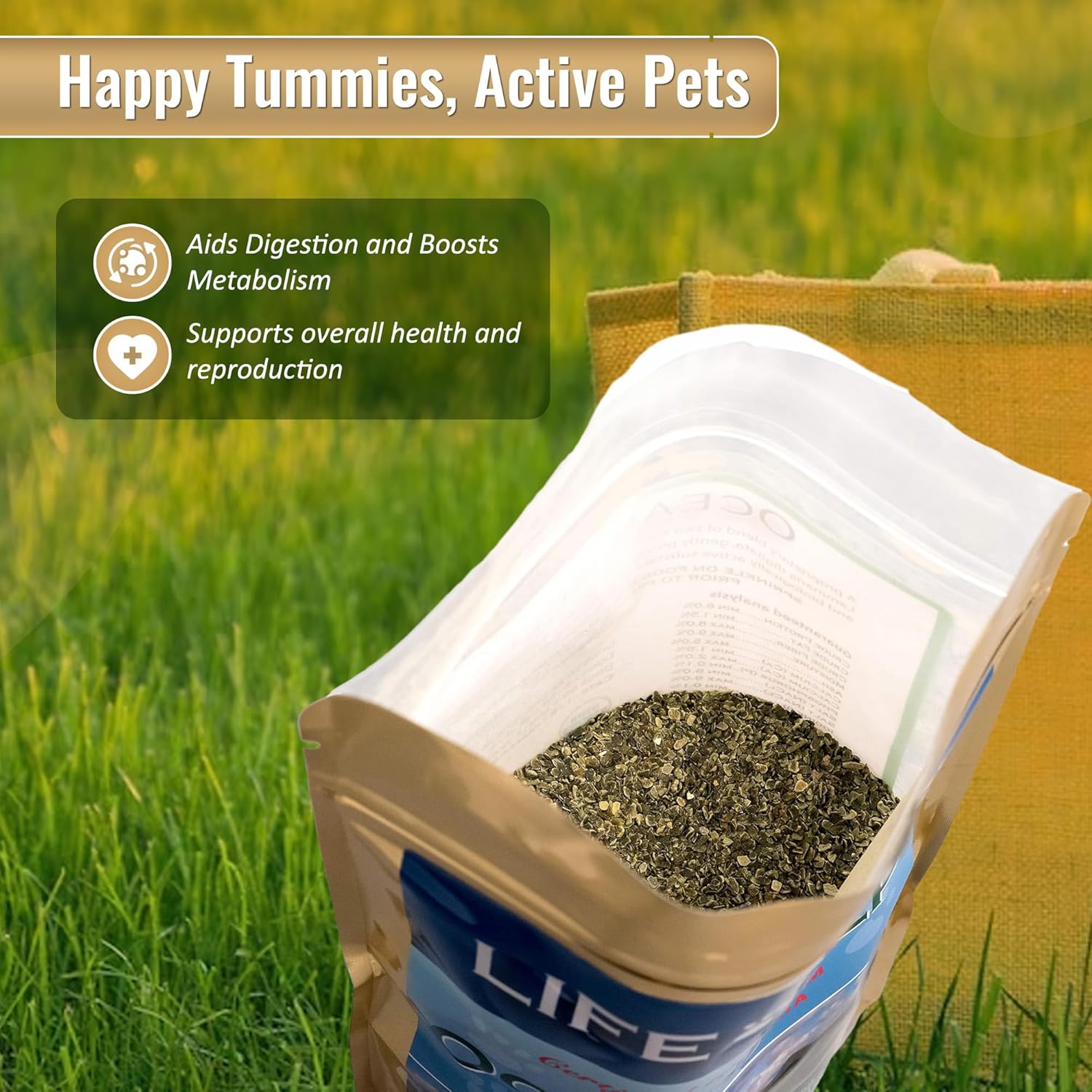 Organic Ocean Kelp Supplement for Pets - 8 oz by Life Line Pet Nutrition