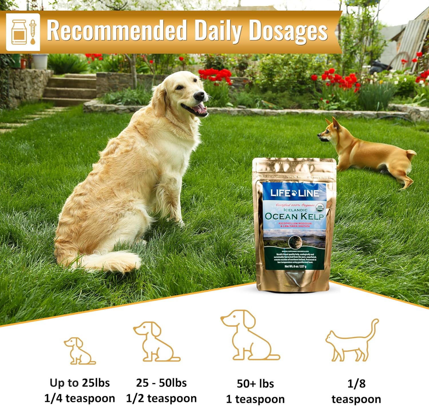 Organic Ocean Kelp Supplement for Pets - 8 oz by Life Line Pet Nutrition