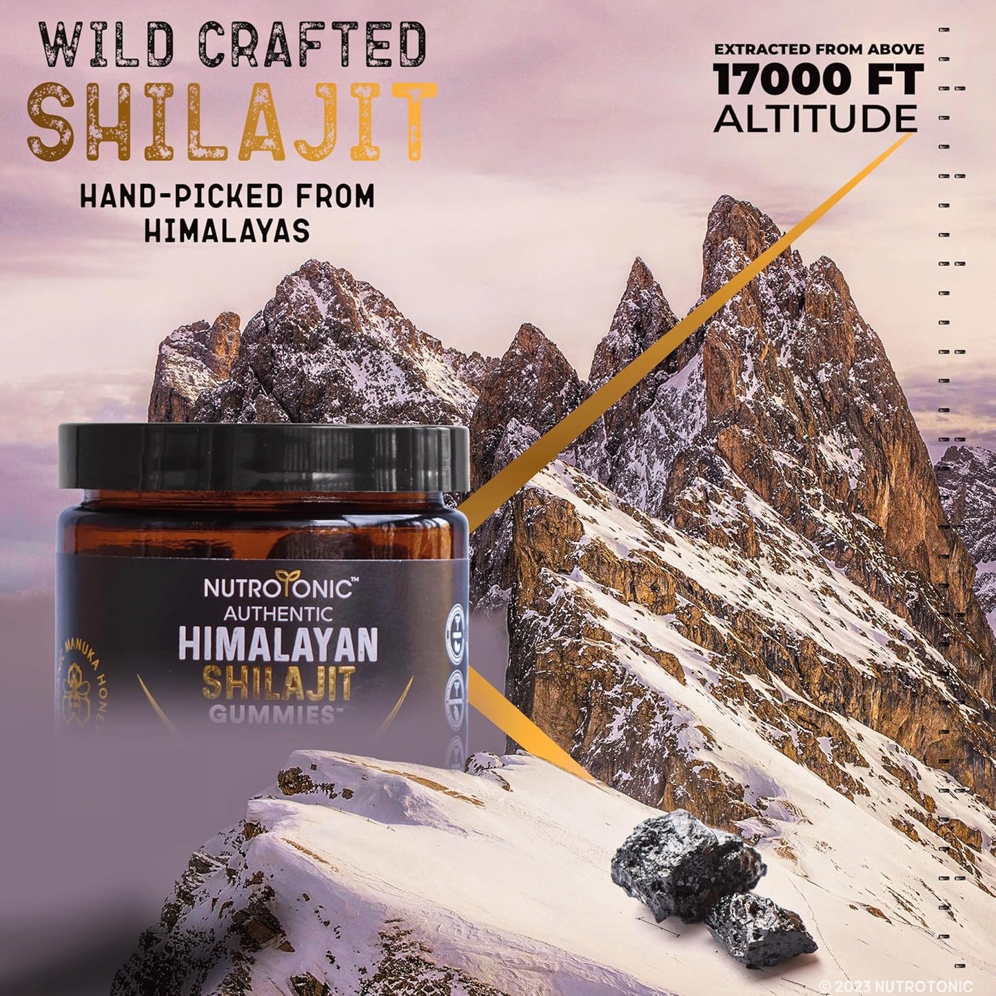 Organic Peach & Vanilla Flavored Himalayan SHILAJIT Gummies with Manuka Honey MGO +263 | Boost Heart, Brain, Cellular Health | 30 Quality Gummies by NutroTonic LLC