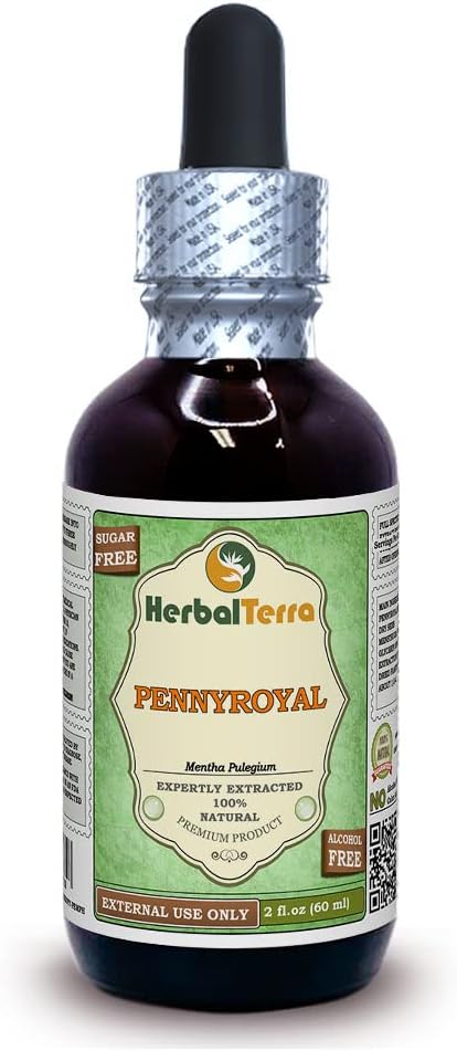 Organic Pennyroyal (Mentha Pulegium) Glycerite Extract - Alcohol-Free Liquid - 2 oz Bottle by Herbal Terra LLC