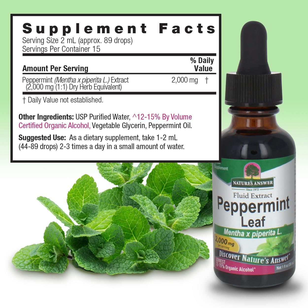 Organic Peppermint Leaf Extract - 1oz | Digestive & Bowel Support | Natural Stomach Discomfort Relief