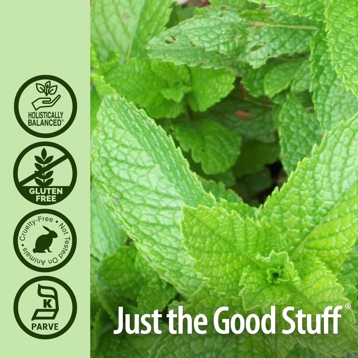 Organic Peppermint Leaf Extract - 1oz | Digestive & Bowel Support | Natural Stomach Discomfort Relief