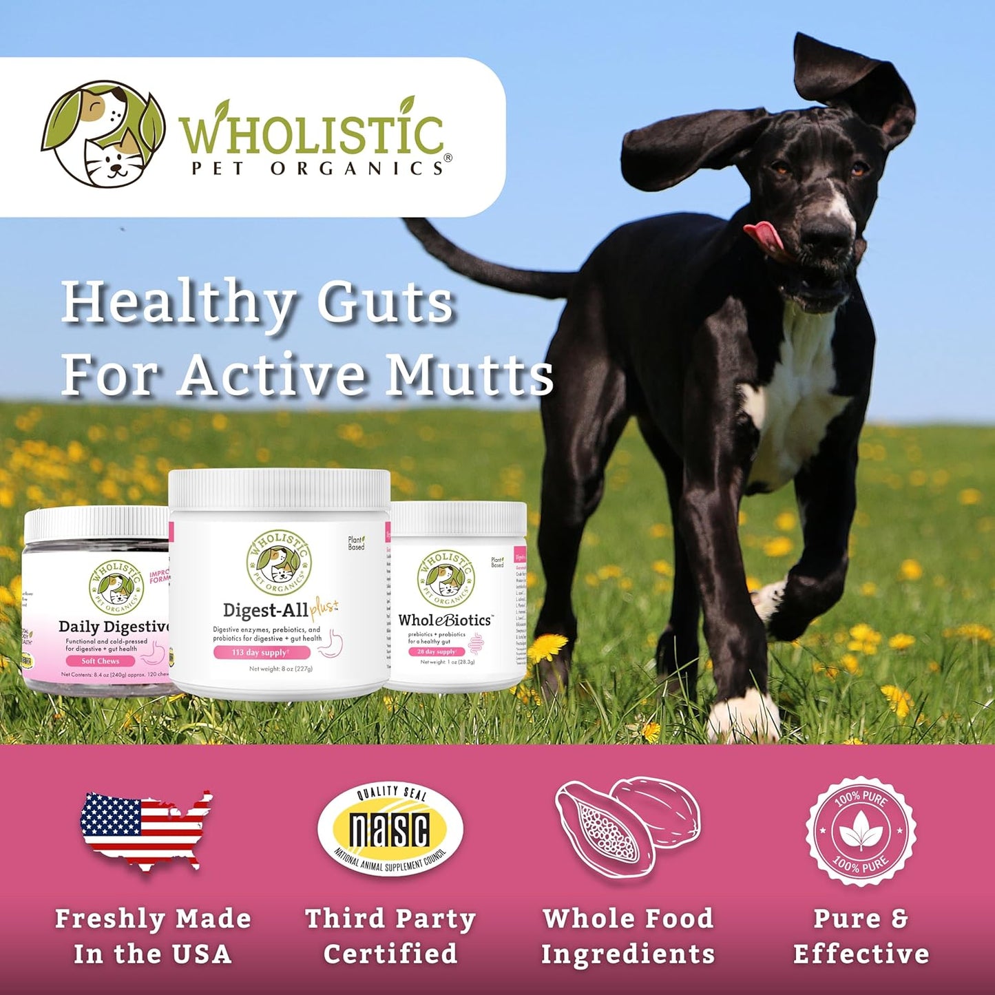 Organic Pet Digestive Enzymes Powder with Probiotics for Dogs & Cats - 4 Oz - Homemade Food Supplement