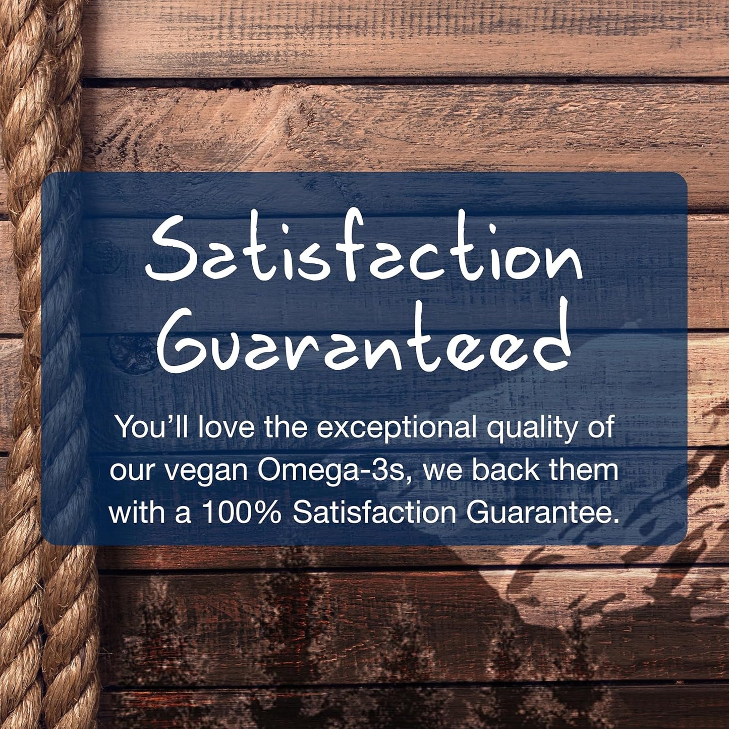 Organic Plant-Based Algae Oil Softgels - Vegan Omega-3 Supplement - Non-GMO Alternative to Fish Oil - Full Spectrum Liquid - 60 Servings