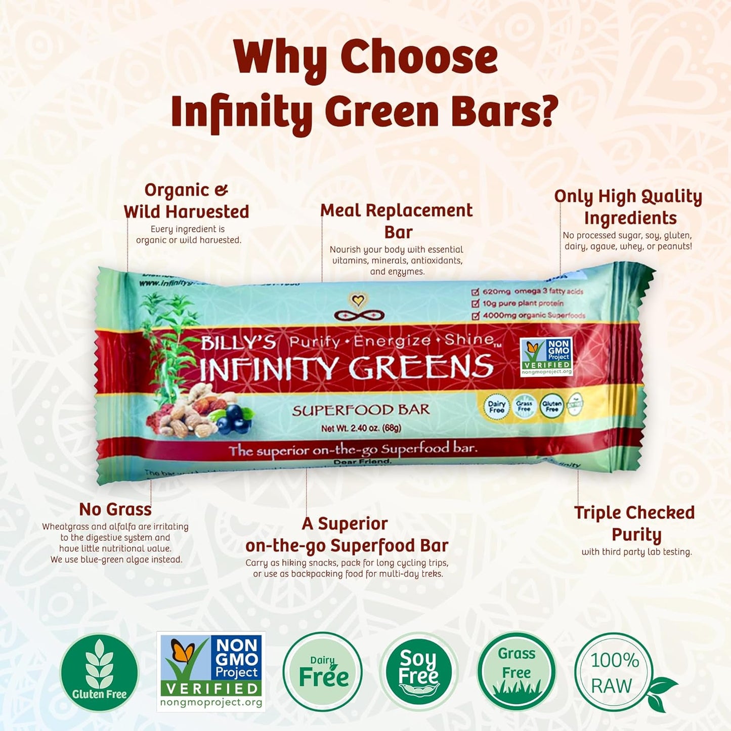 Organic Plant-Based Meal Replacement Bars with 4000mg Superfood Powder - Gluten Free, Non GMO (12 Bars)