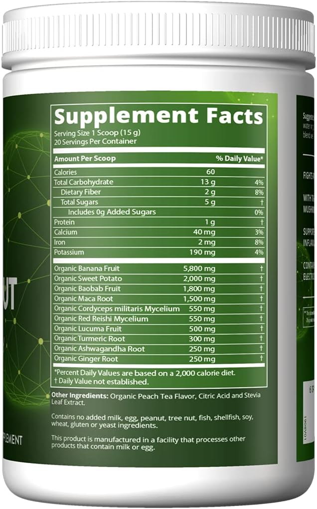 Organic Plant-Based Post Workout Recovery Supplement, 10.6 Ounce - BoostGo Australia